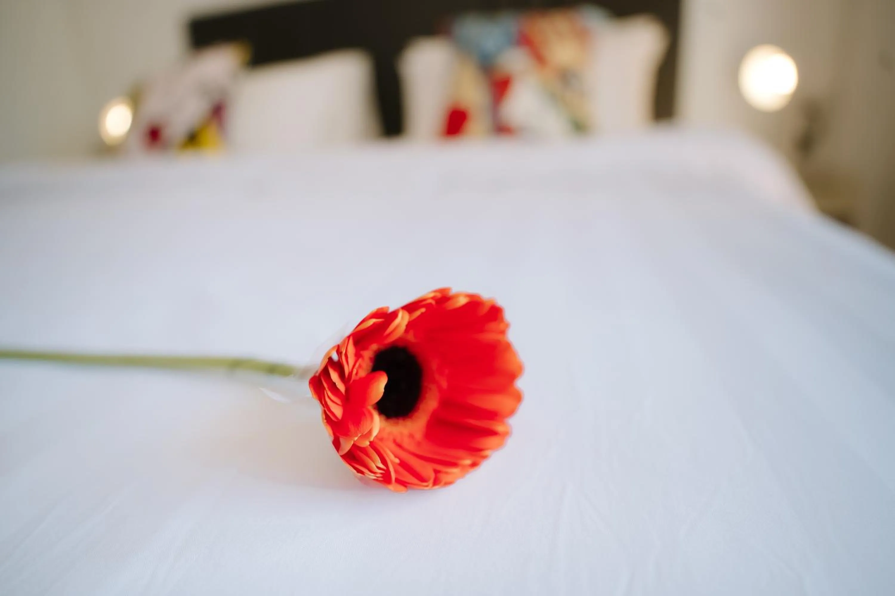 Photo of the whole room, Bed in B&B Chiangrai