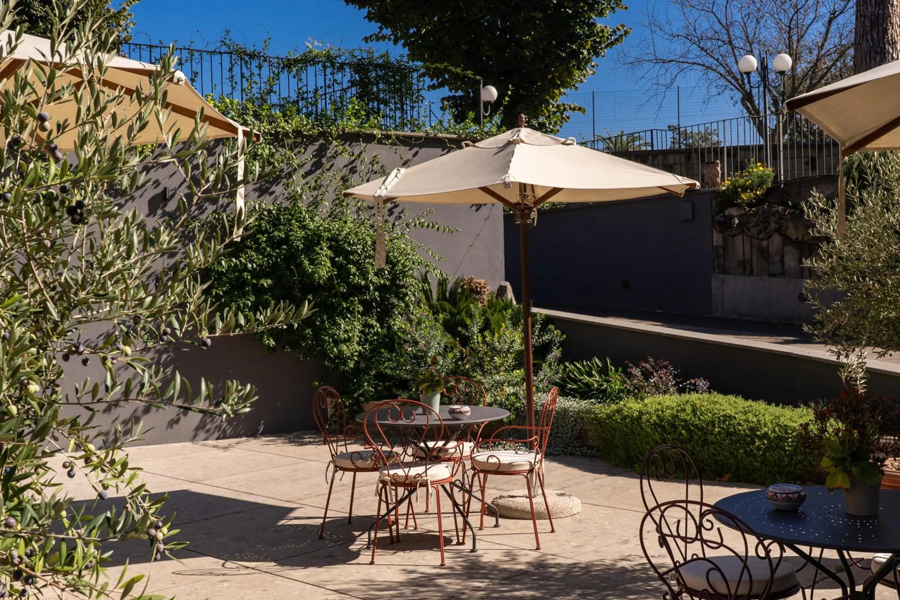 Garden in Adoro Hotel