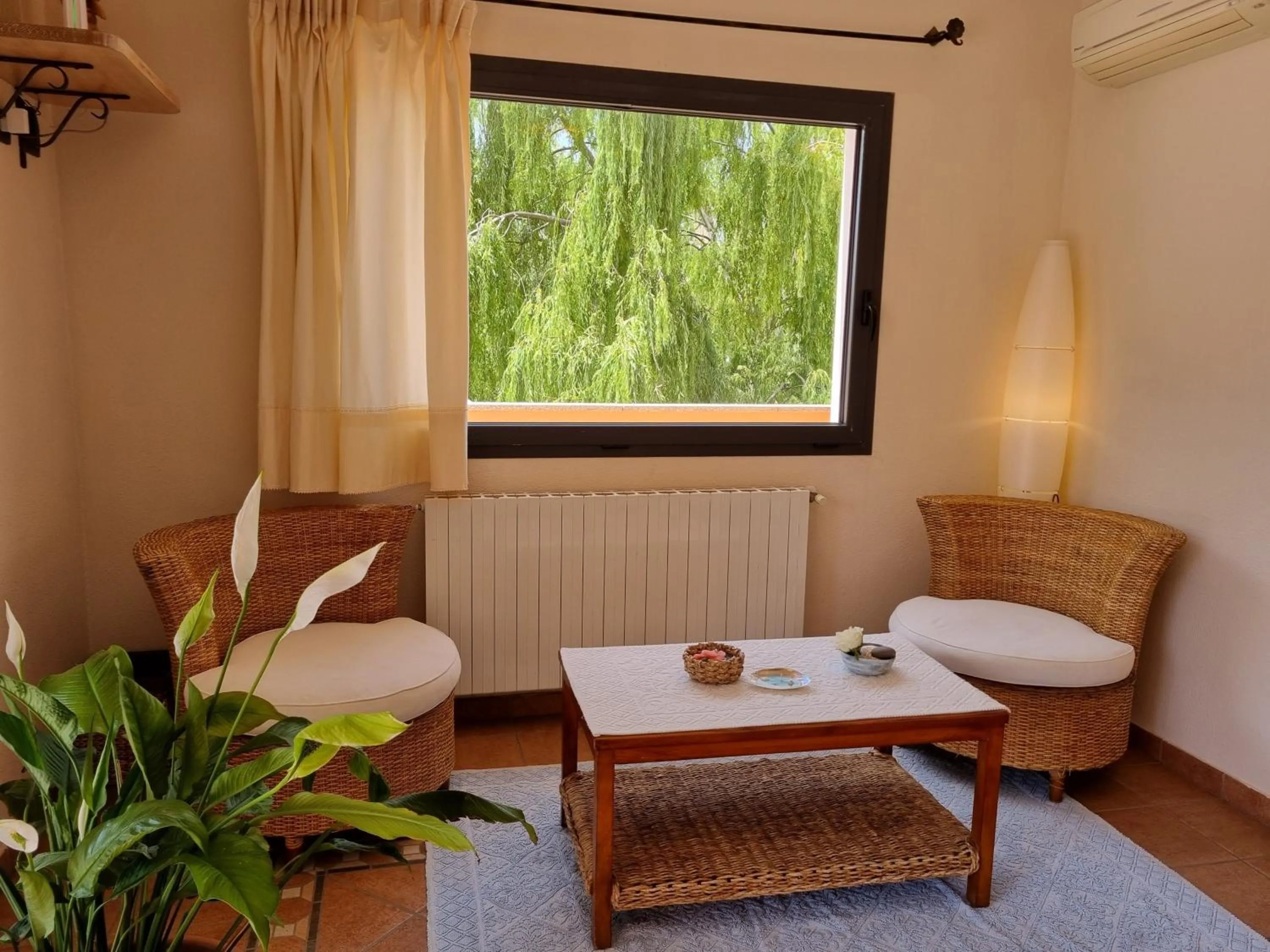 Garden in Hotel Delle Isole