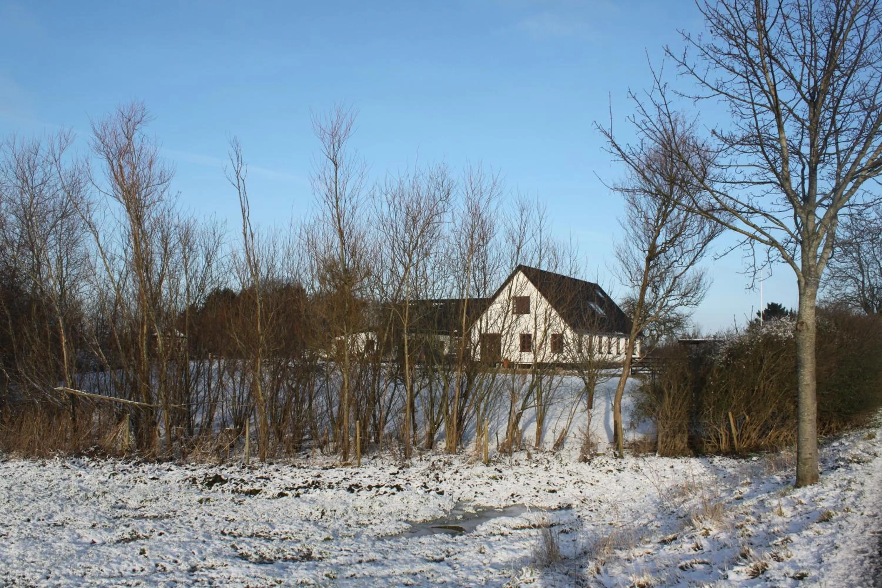 Winter in Borup Bed & Breakfast