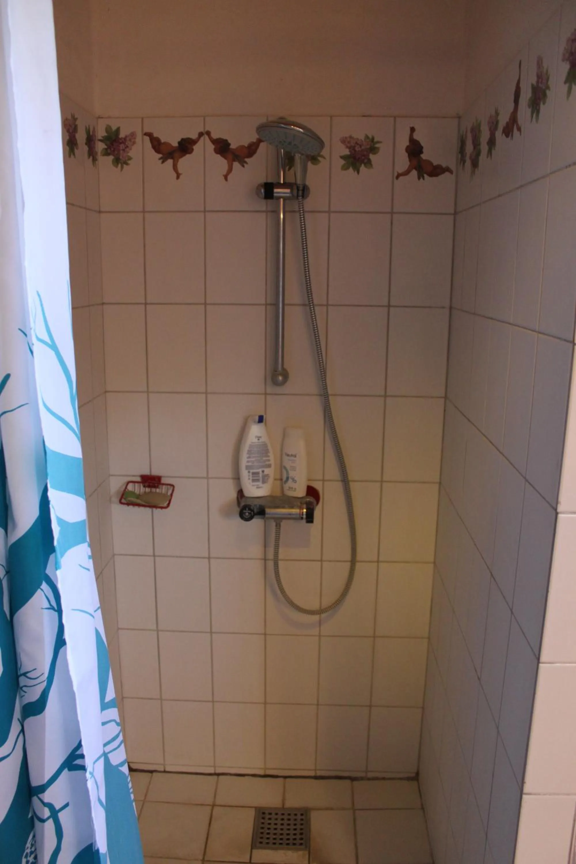 Shower in Borup Bed & Breakfast