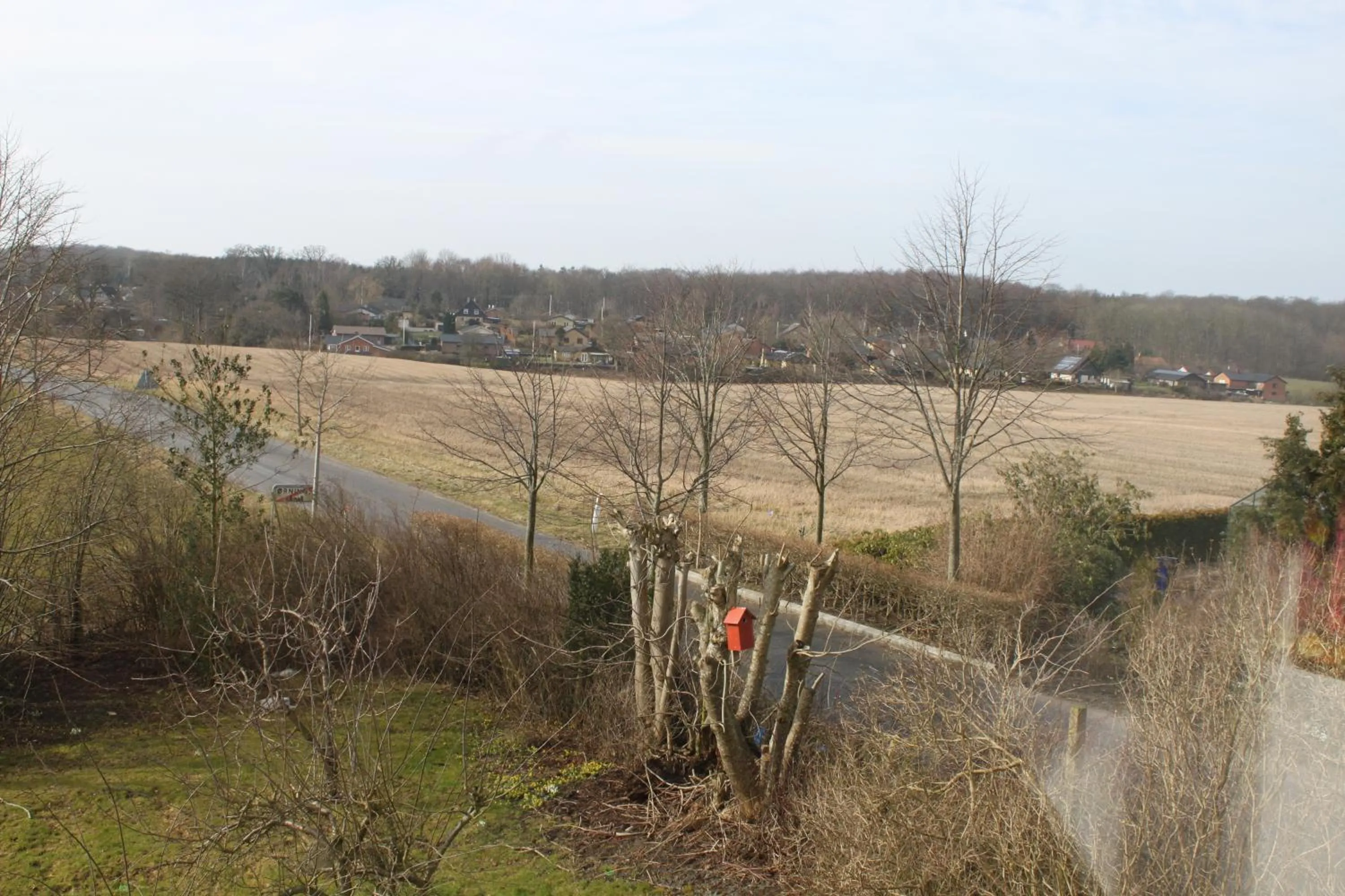 City view in Borup Bed & Breakfast