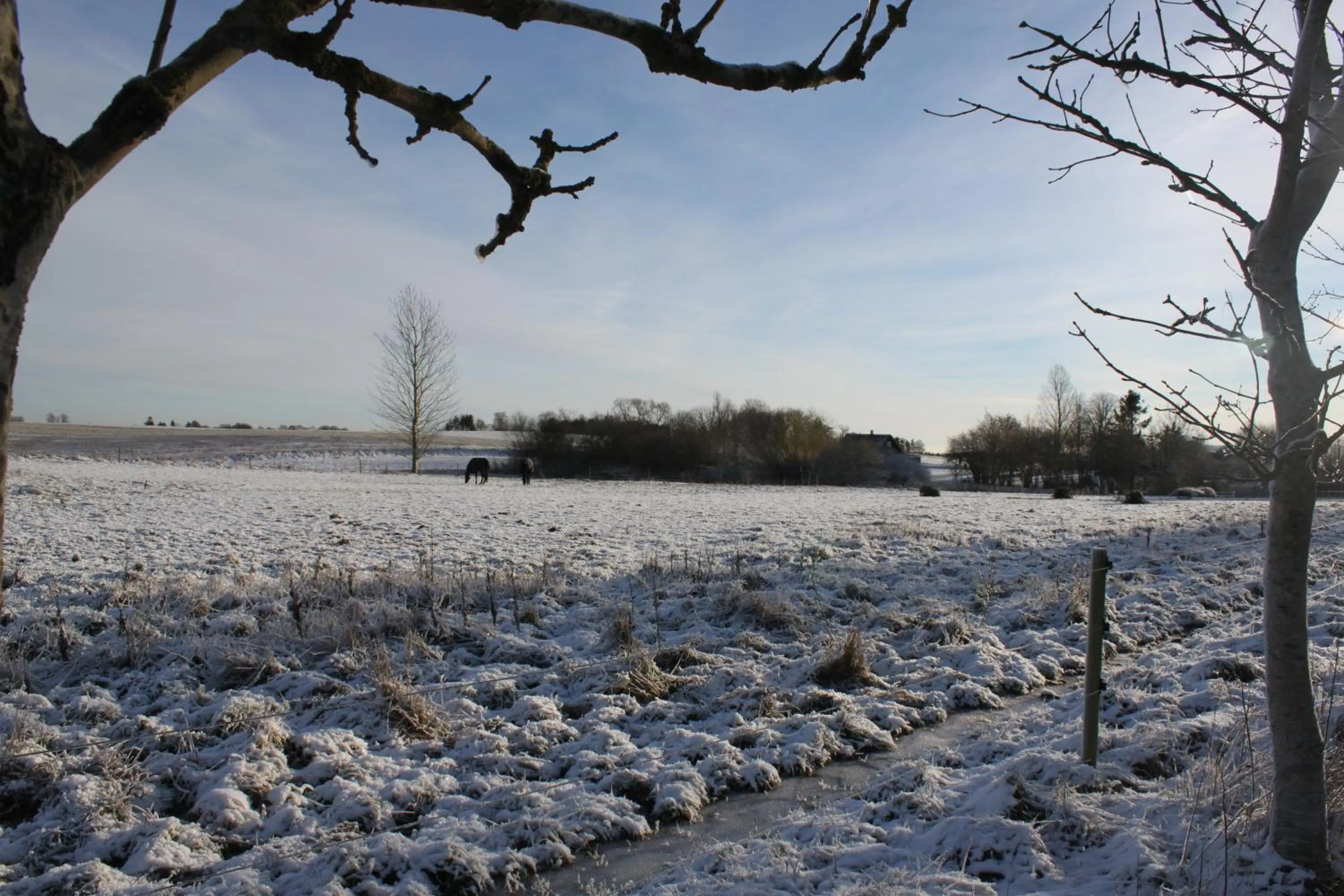 Winter in Borup Bed & Breakfast