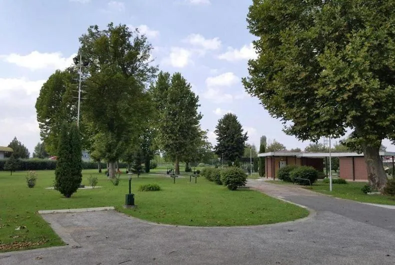 Natural landscape in Hotel Bellevue