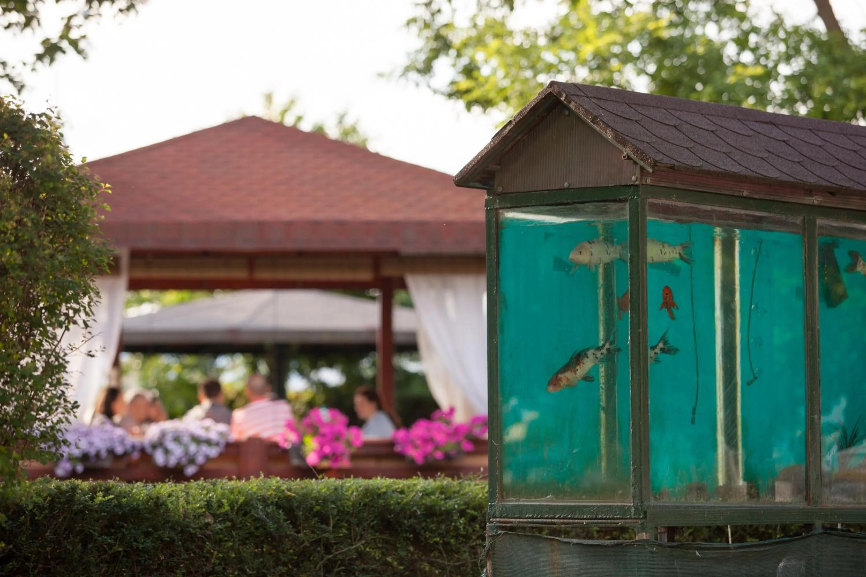 Restaurant/places to eat in Hotel Bellevue