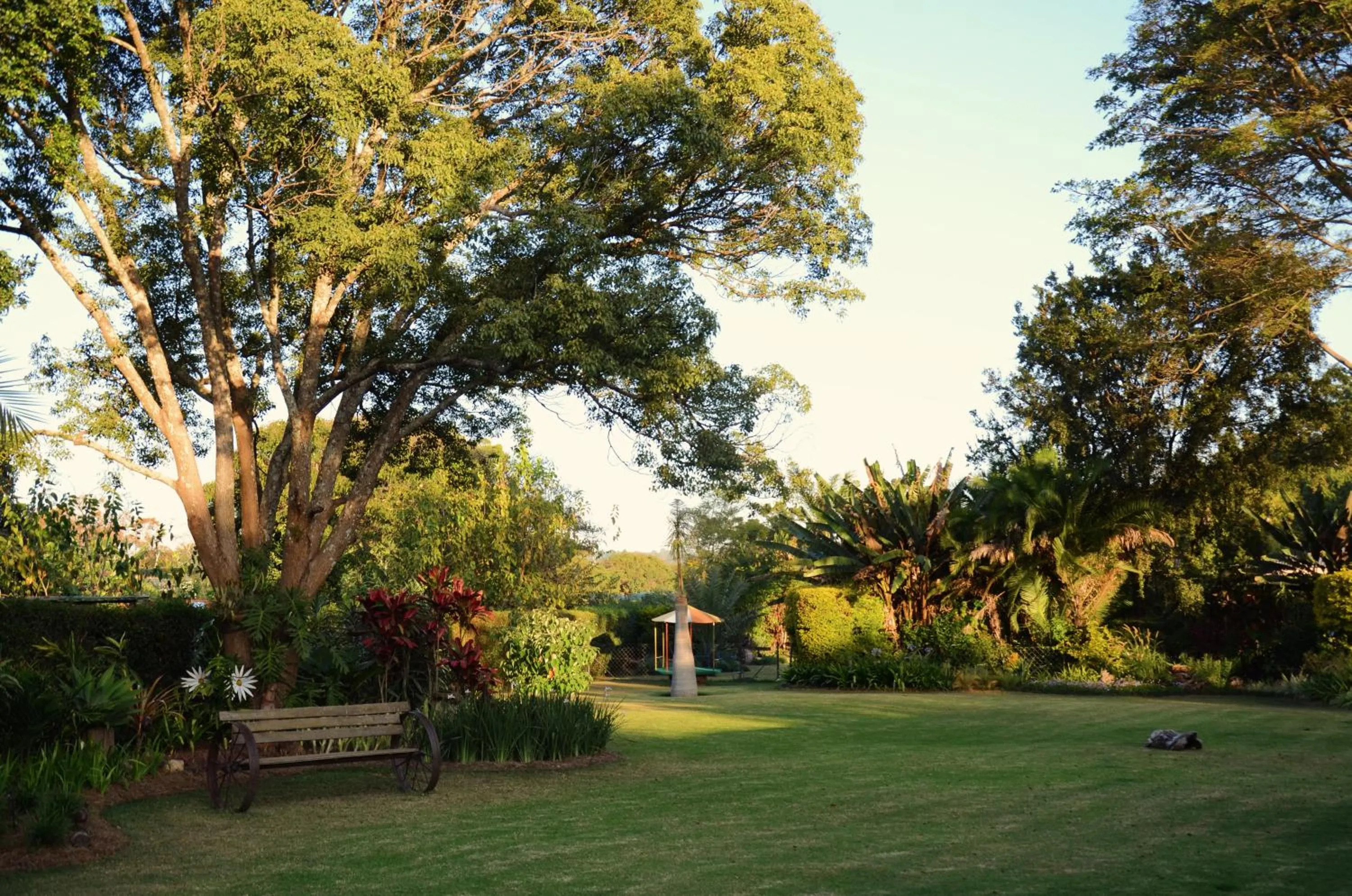 Garden in Malcolm Lodge