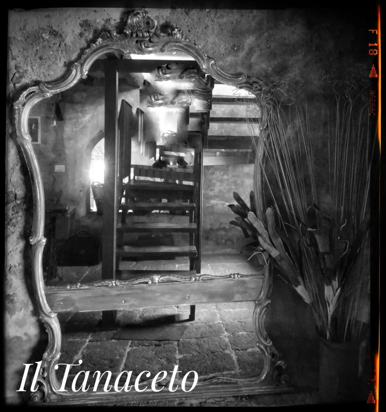 Restaurant/places to eat in Il Tanaceto
