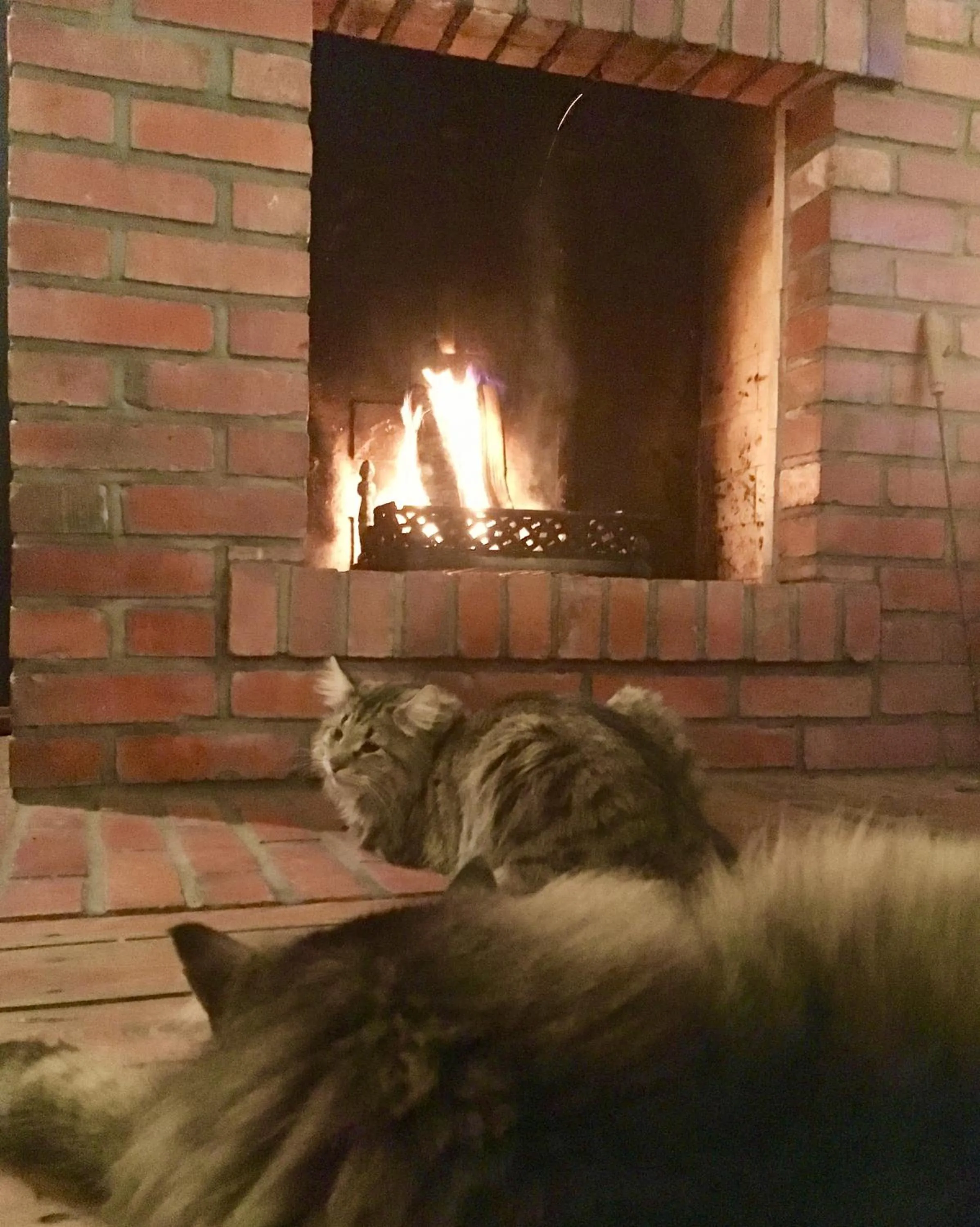 Communal lounge/ TV room in Stara Szkoła w Harszu