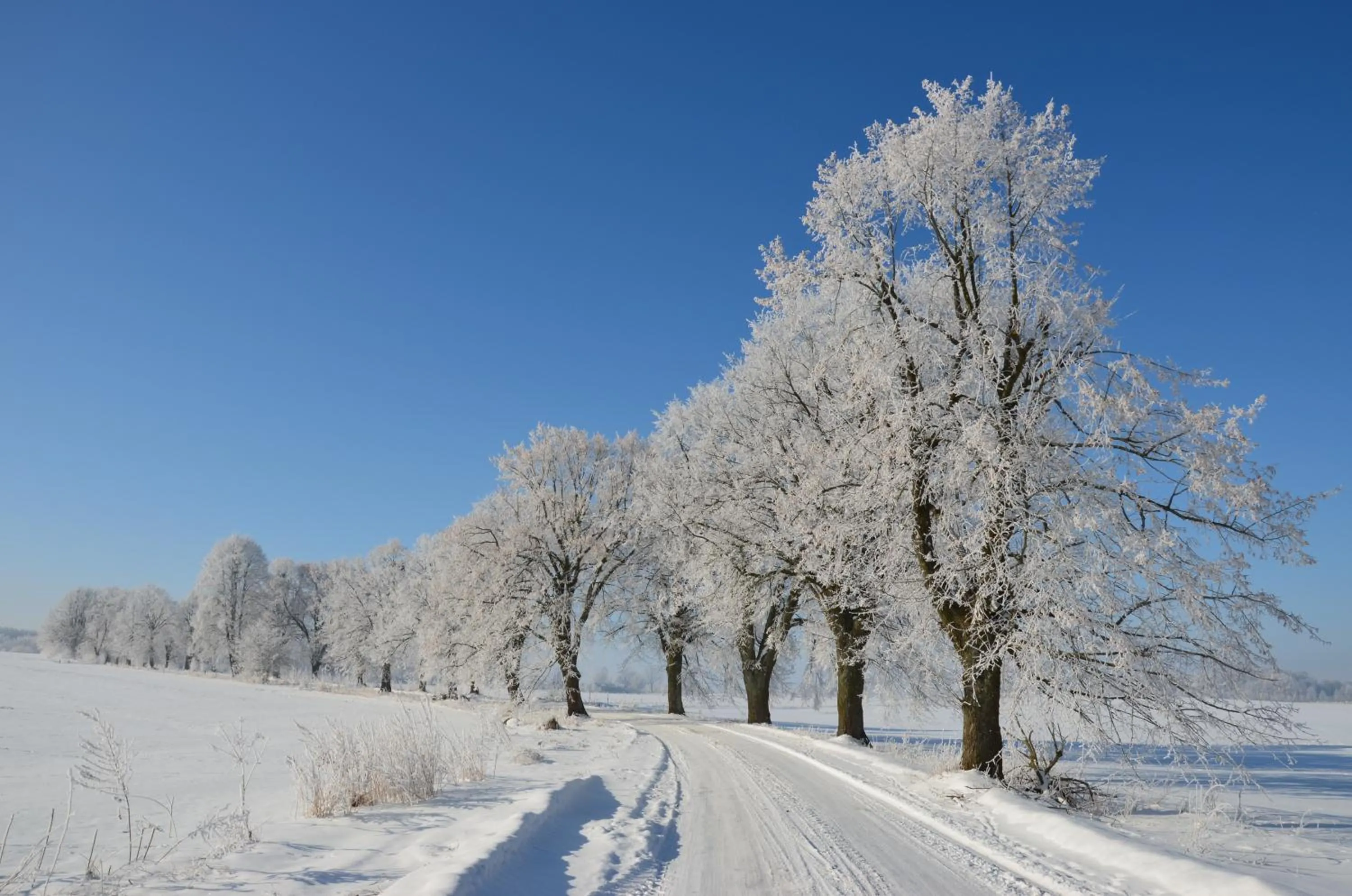 Winter in Stara Szkoła w Harszu