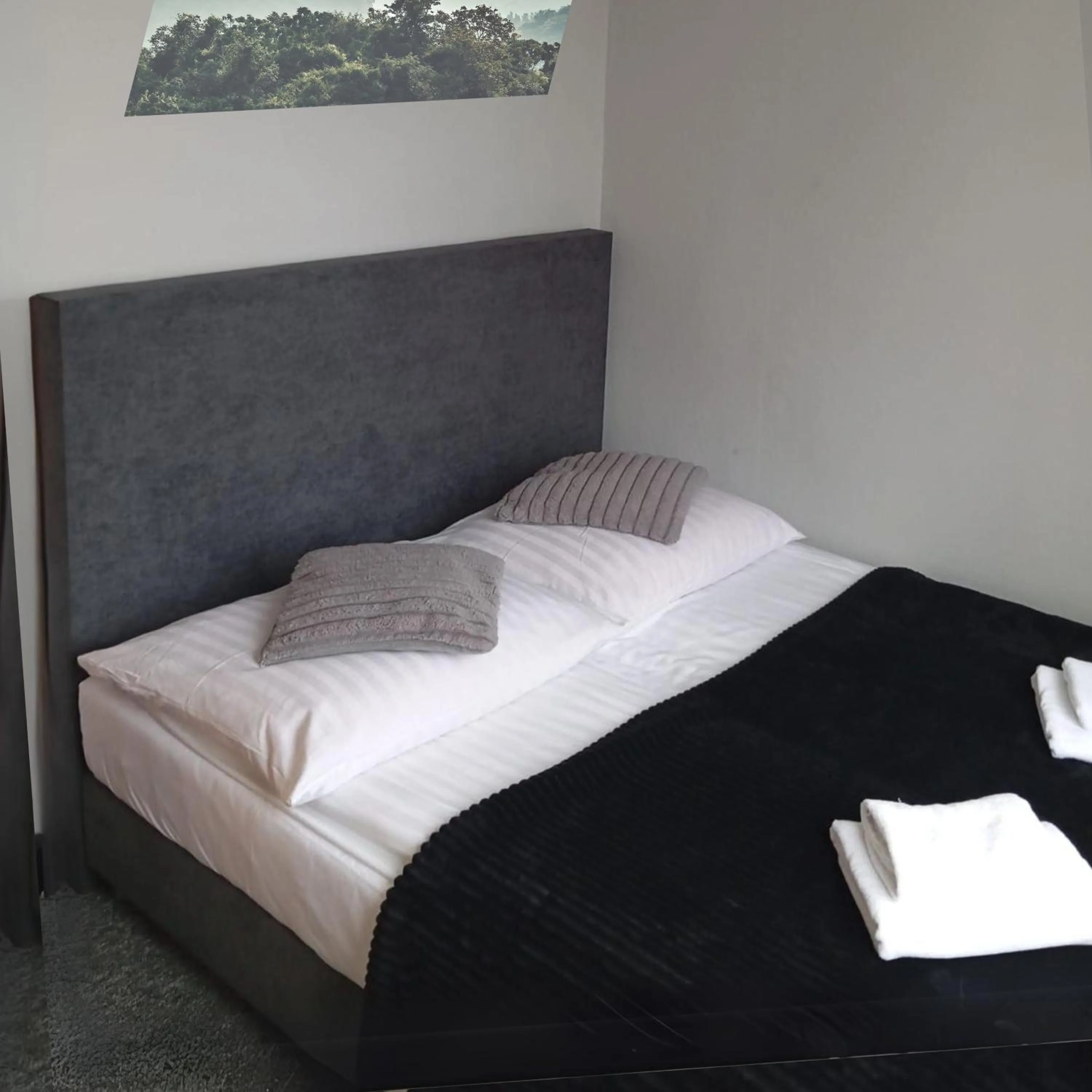 Bed in Hotel Helios 300m od Krupówek nowy BASEN od 12 lipca