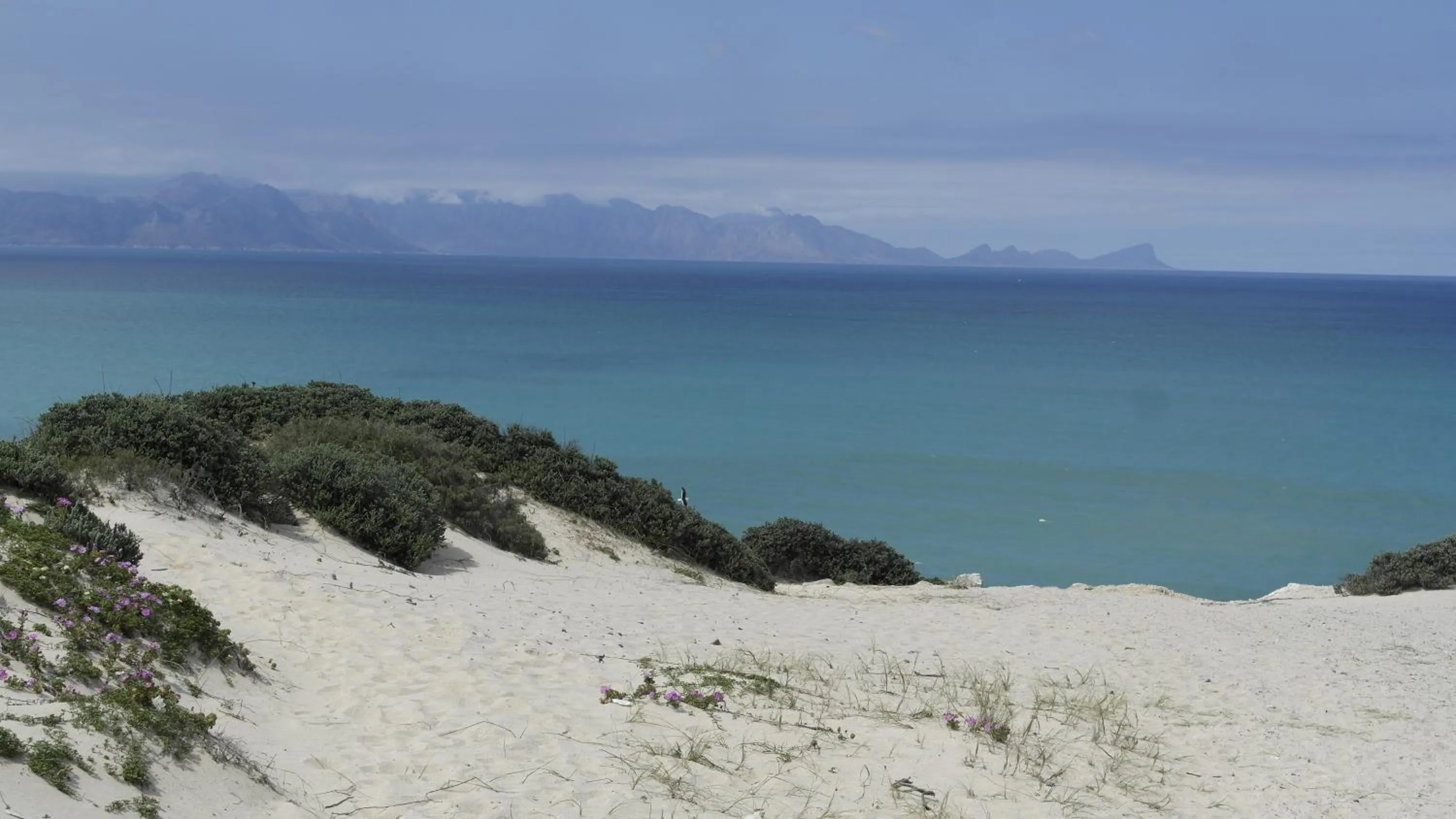 Beach in Admiralty Bed & Breakfast