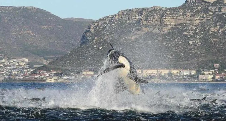 Natural landscape in Admiralty Bed & Breakfast