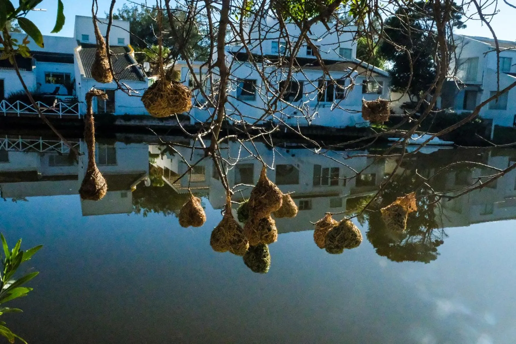 Admiralty Bed & Breakfast