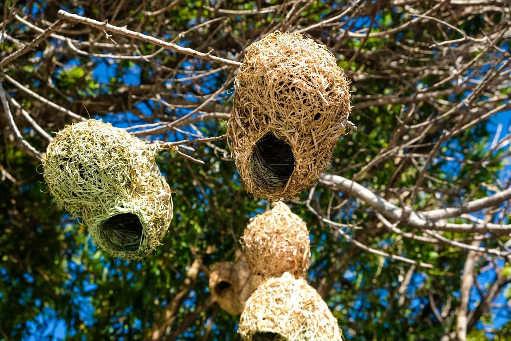 Admiralty Bed & Breakfast