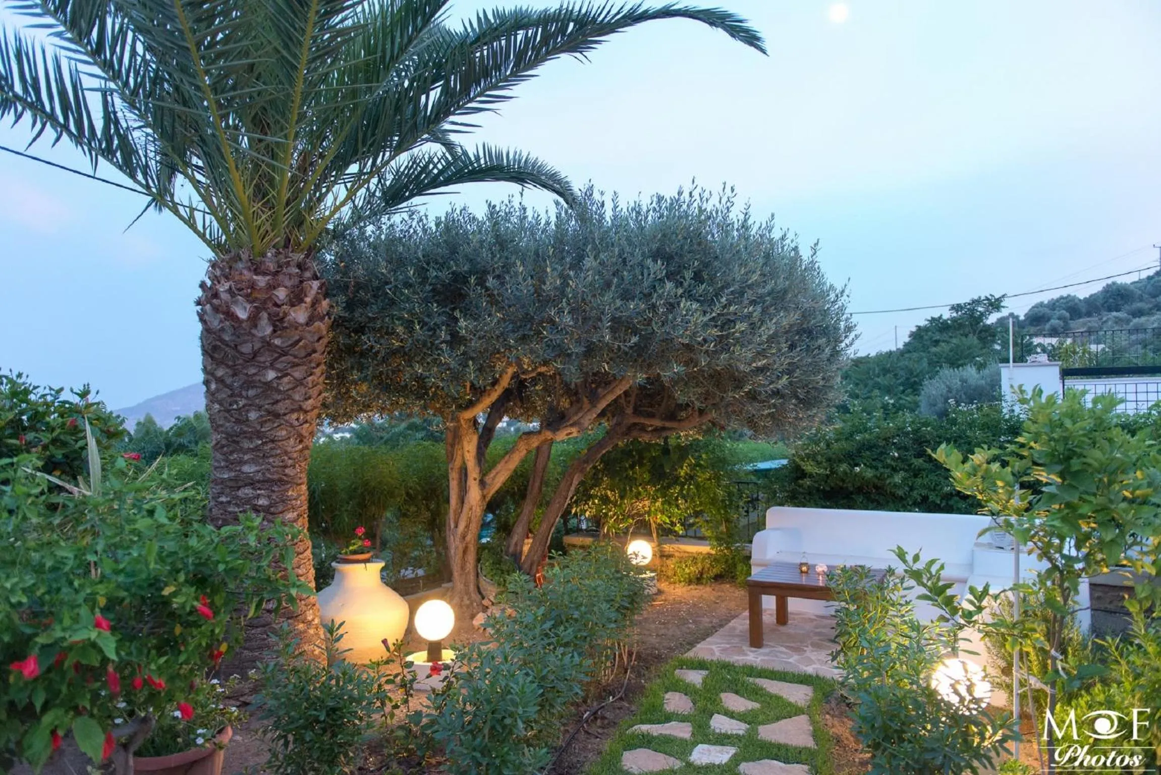 Garden in Hotel Elena