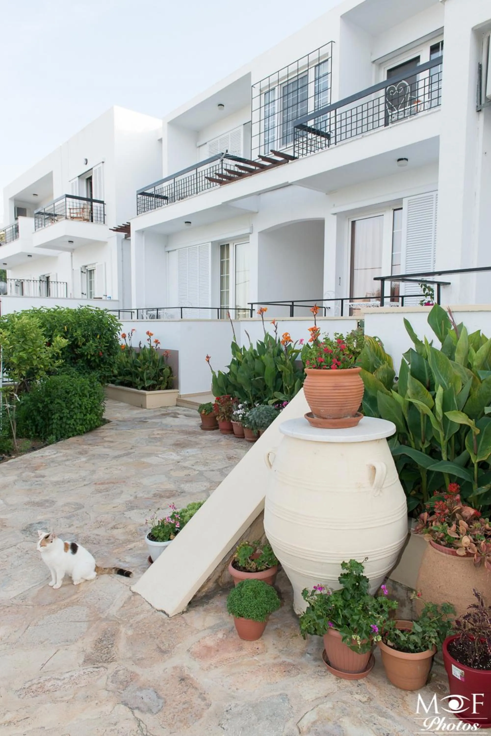 Facade/entrance in Hotel Elena