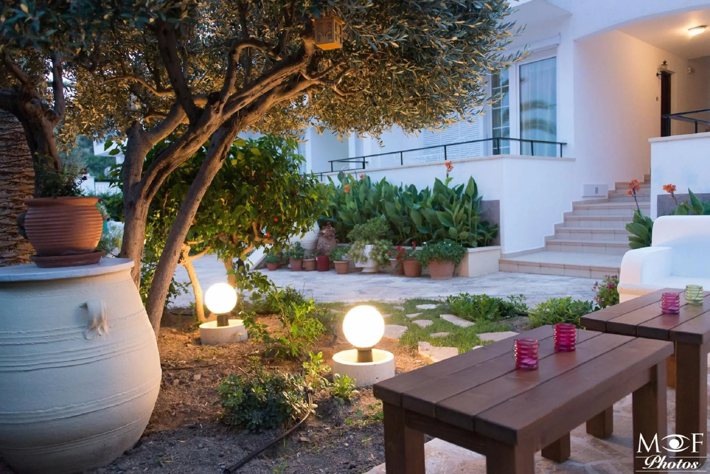 Garden in Hotel Elena