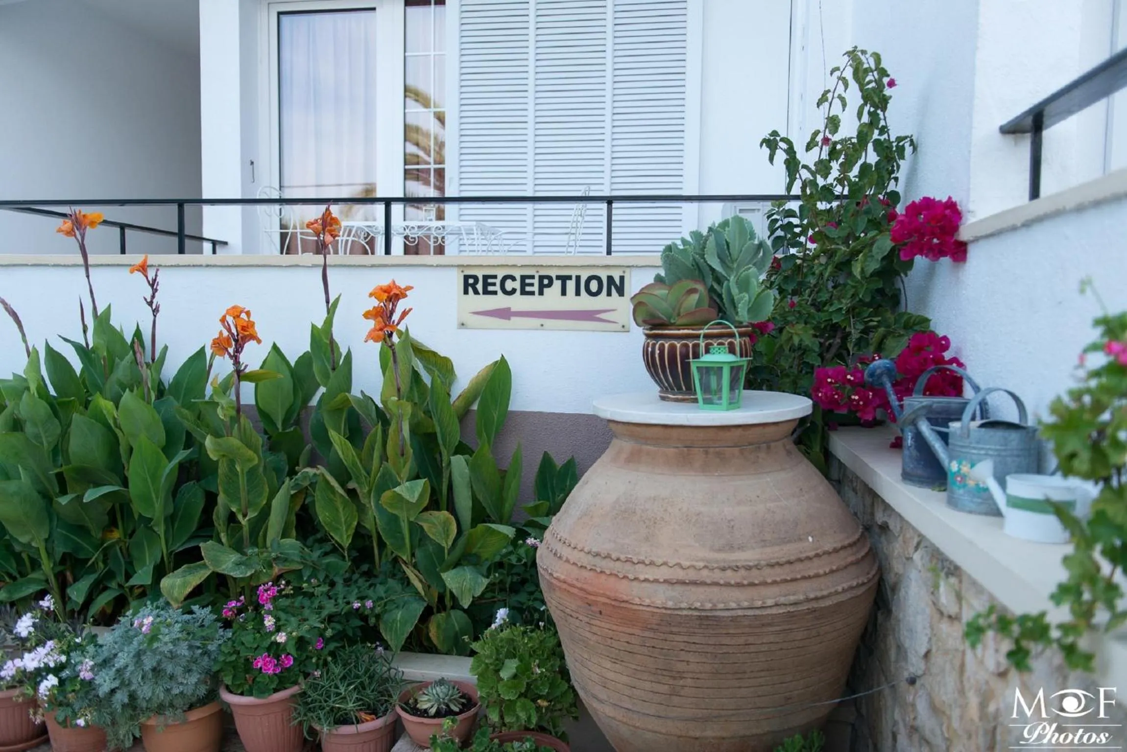 Garden in Hotel Elena