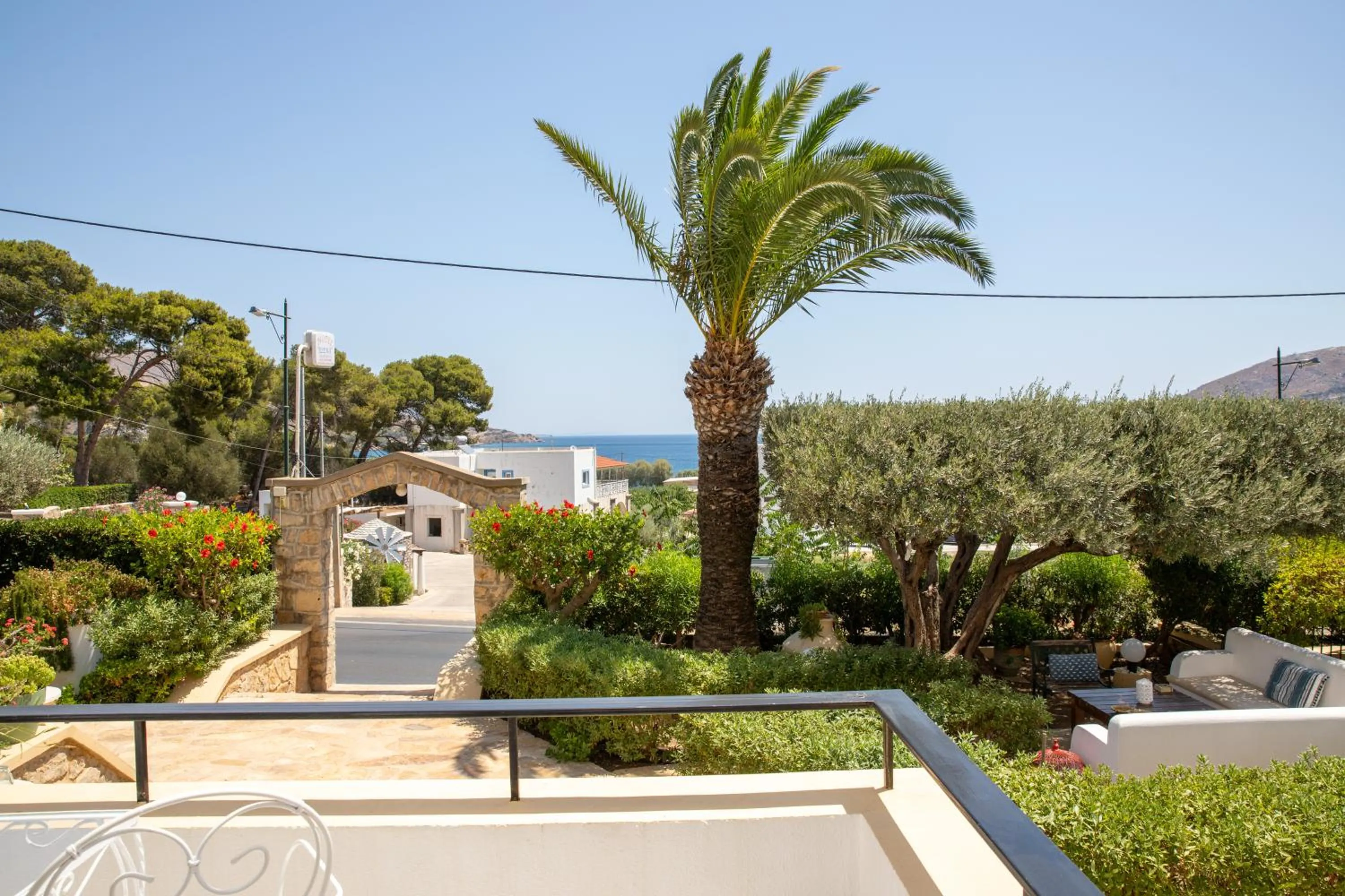 Garden in Hotel Elena