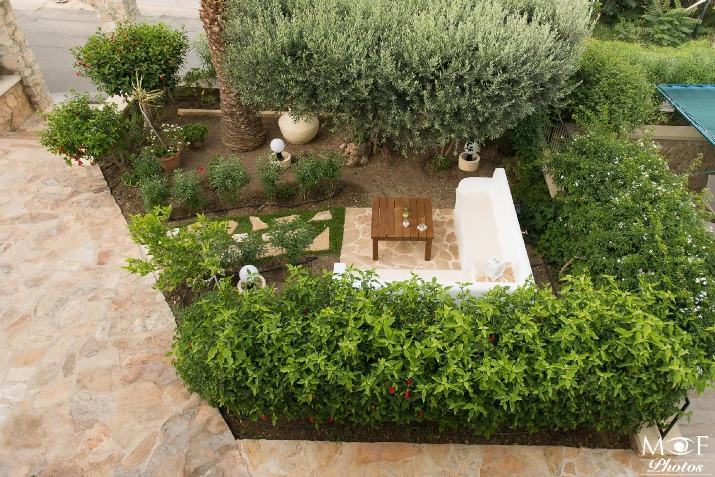 Garden in Hotel Elena