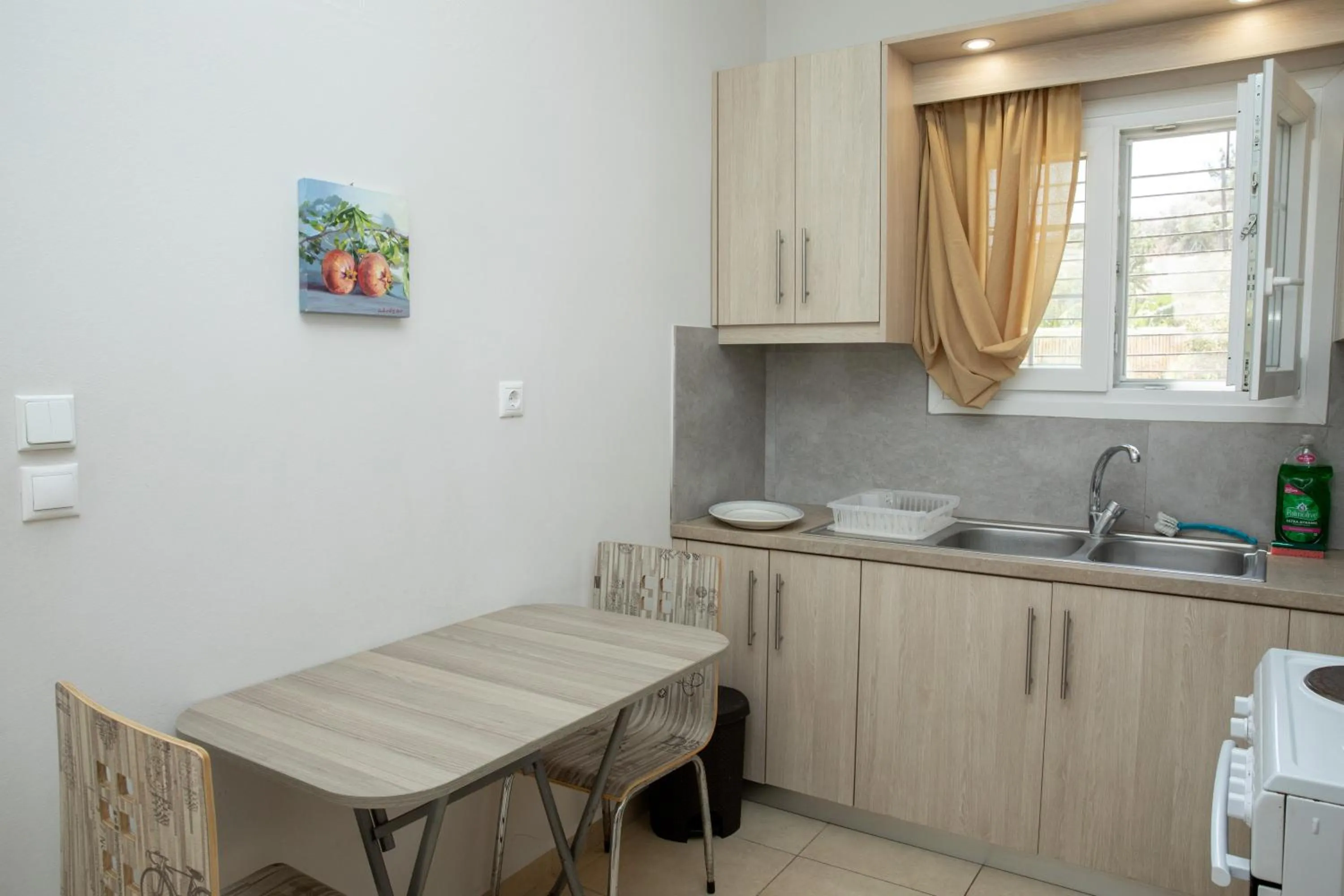 Kitchen or kitchenette in Hotel Elena