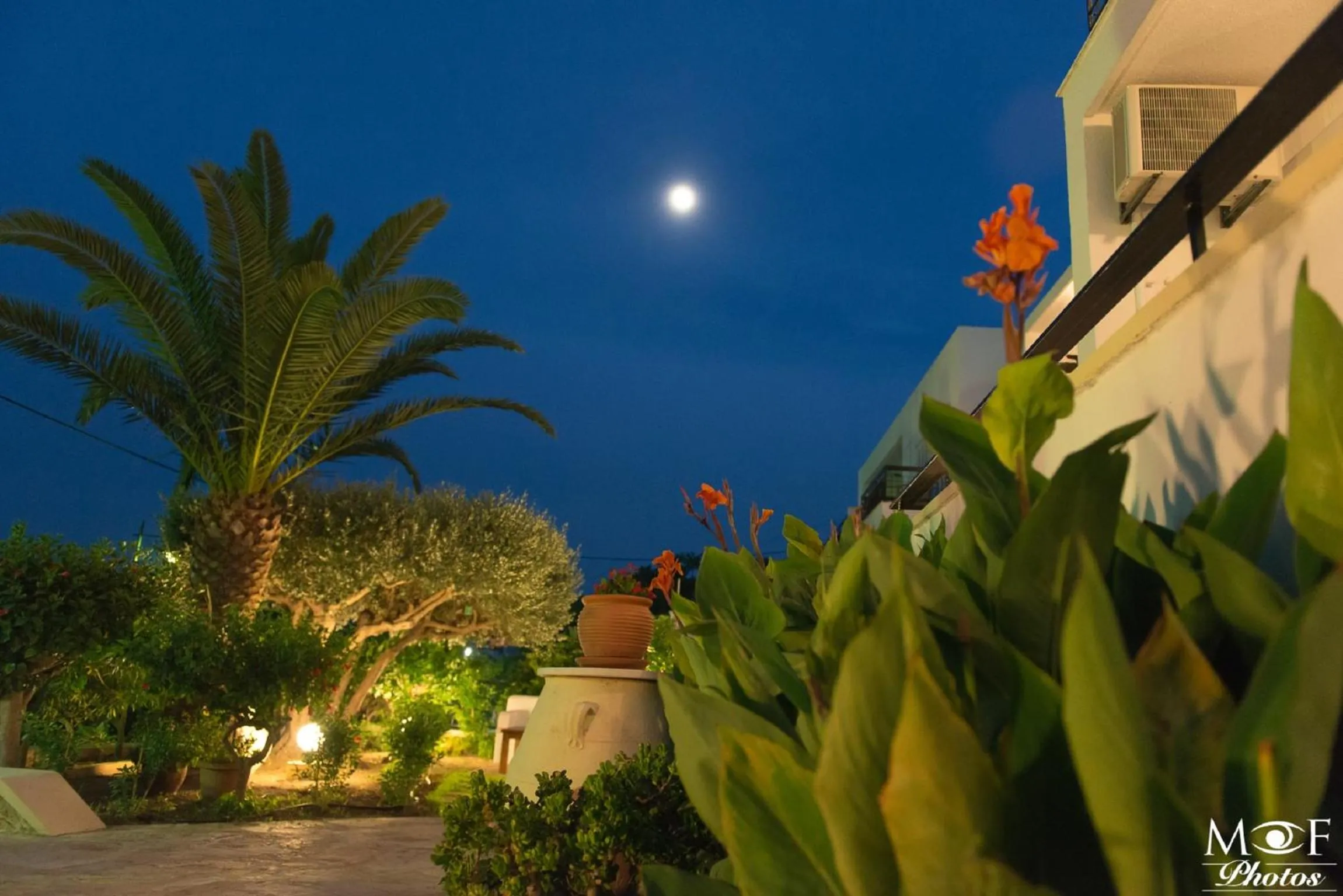 Garden in Hotel Elena