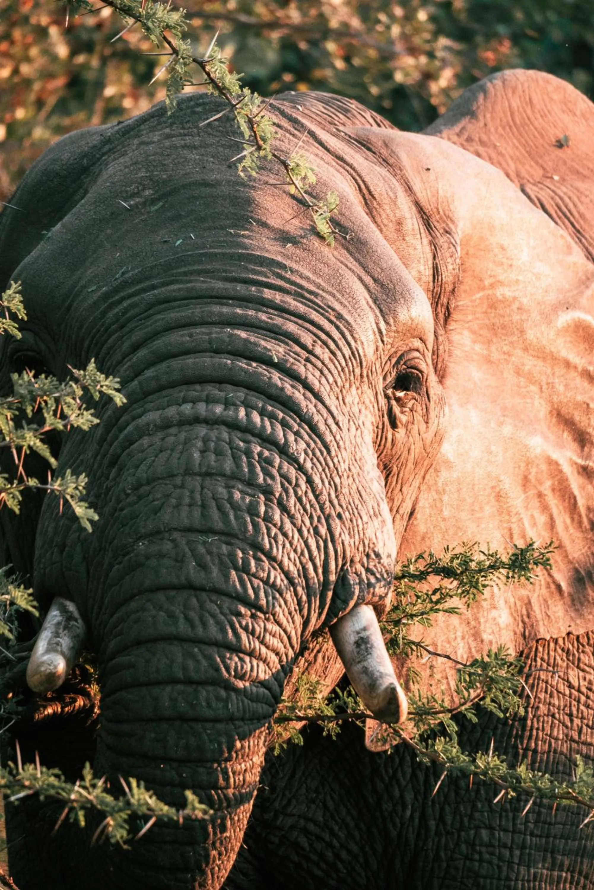 View (from property/room) in Maninghi Lodge