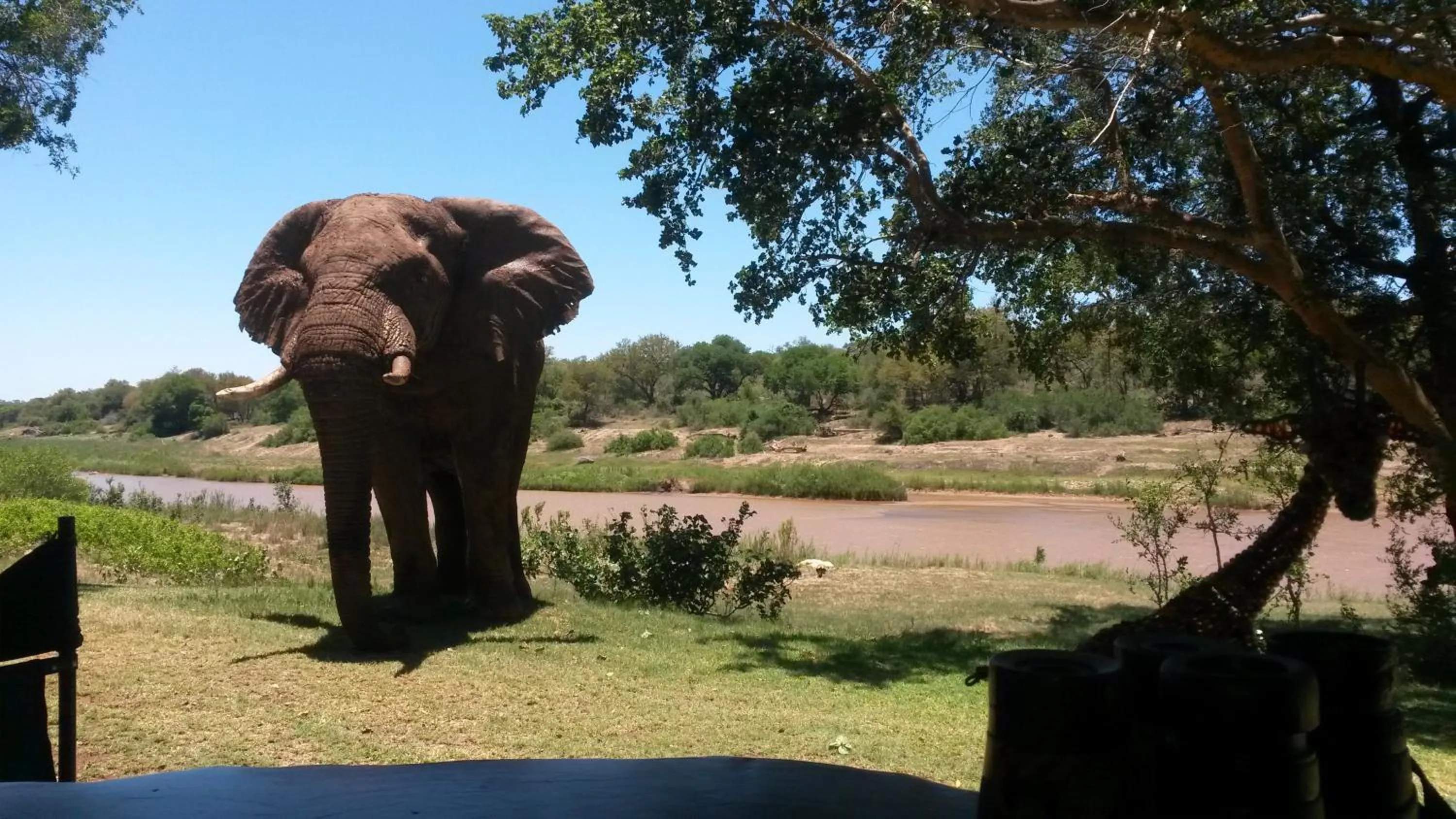 Day in Maninghi Lodge