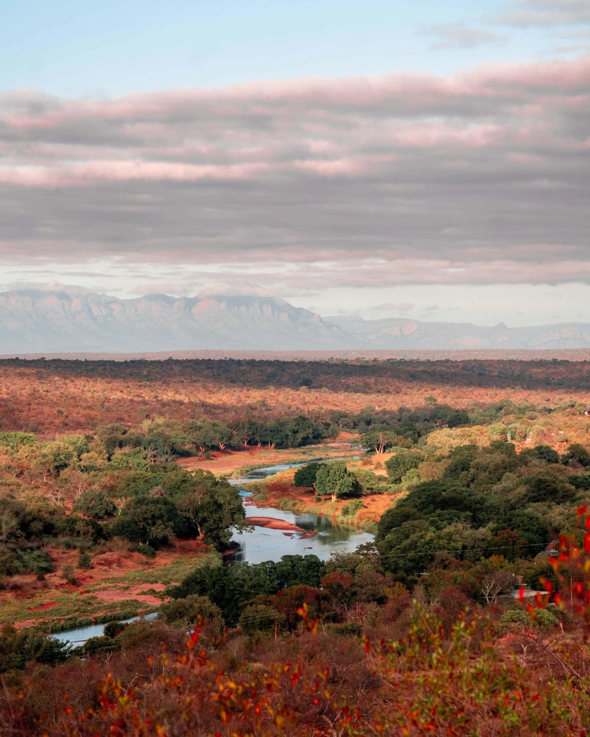 View (from property/room) in Maninghi Lodge