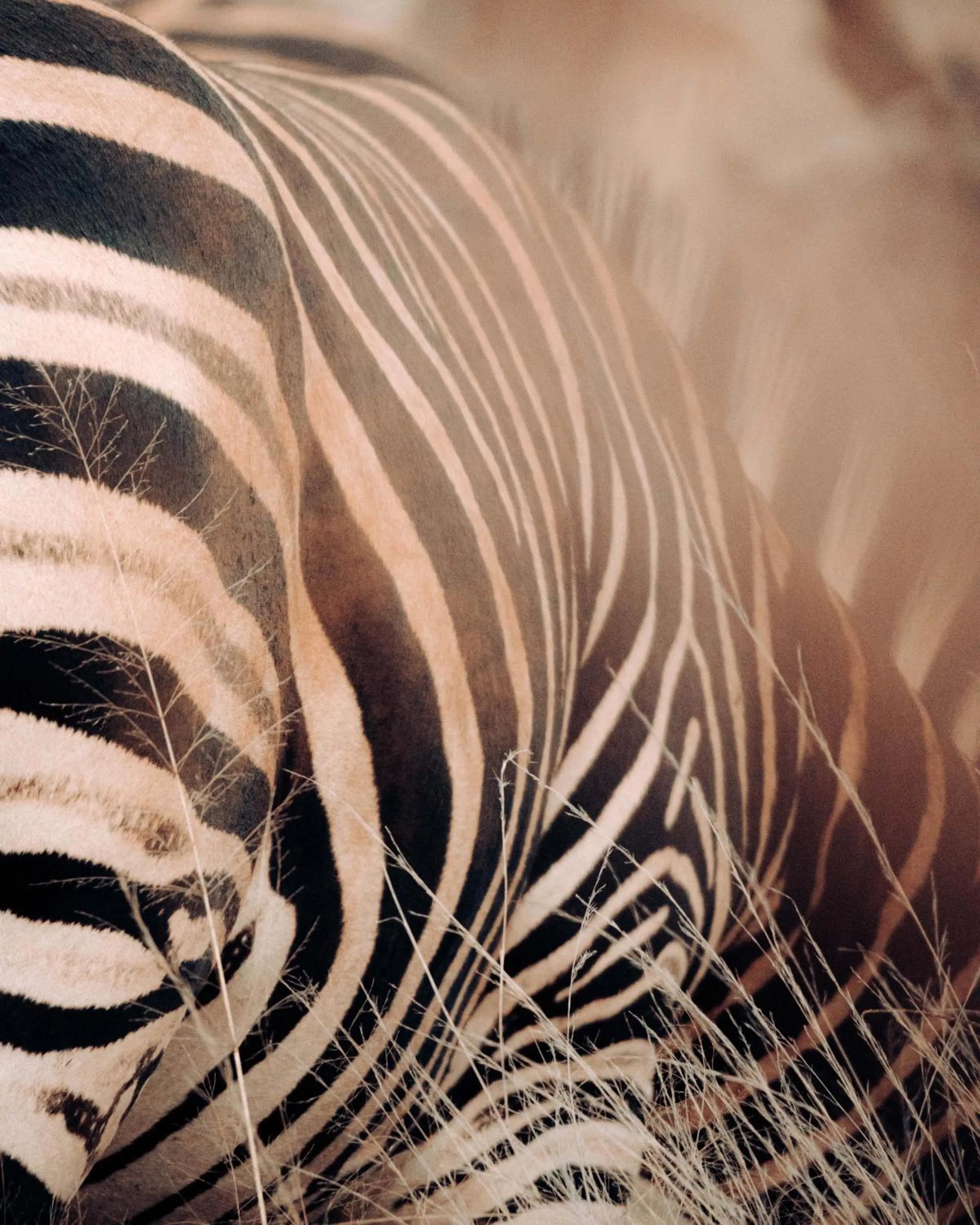 View (from property/room) in Maninghi Lodge