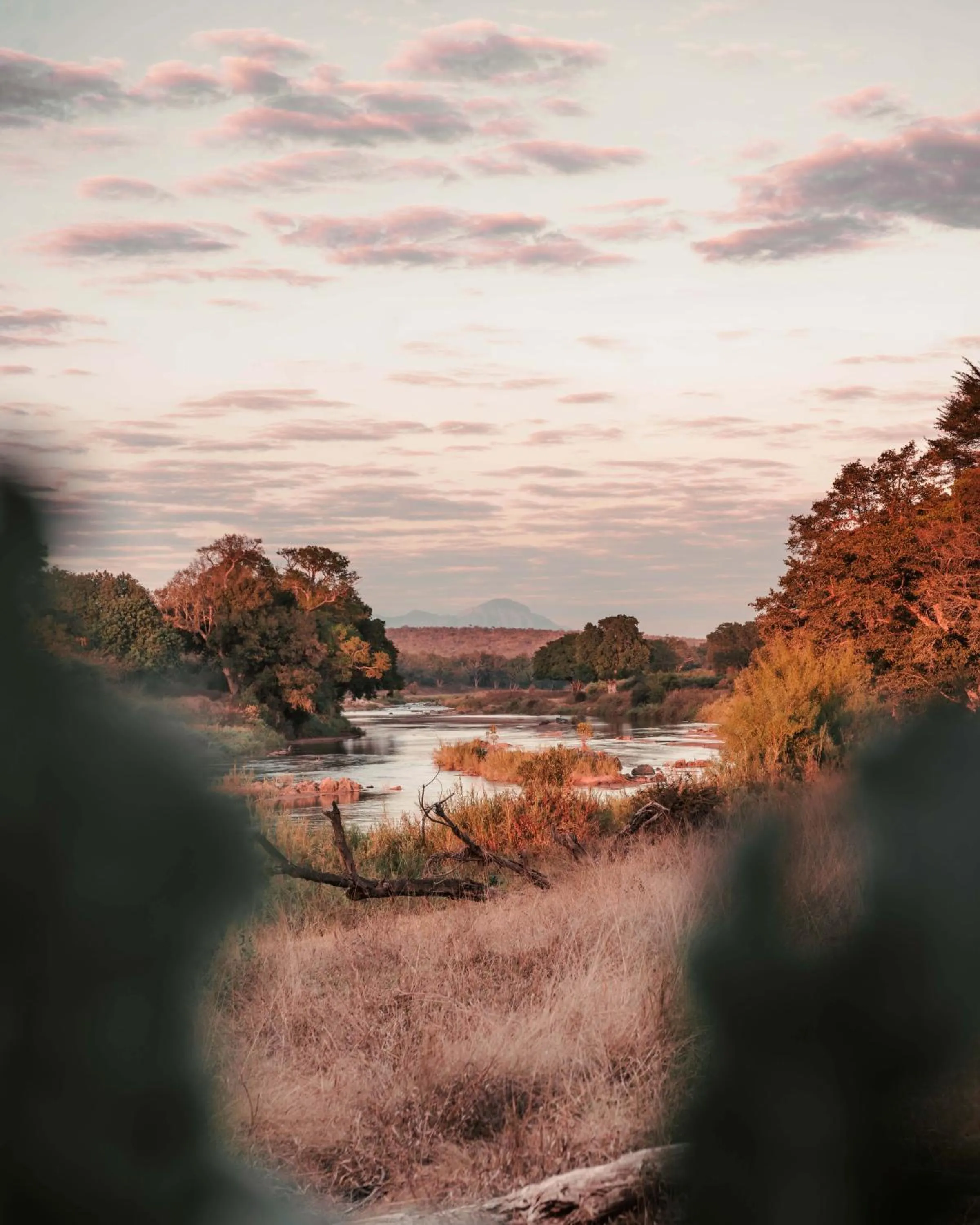 View (from property/room) in Maninghi Lodge