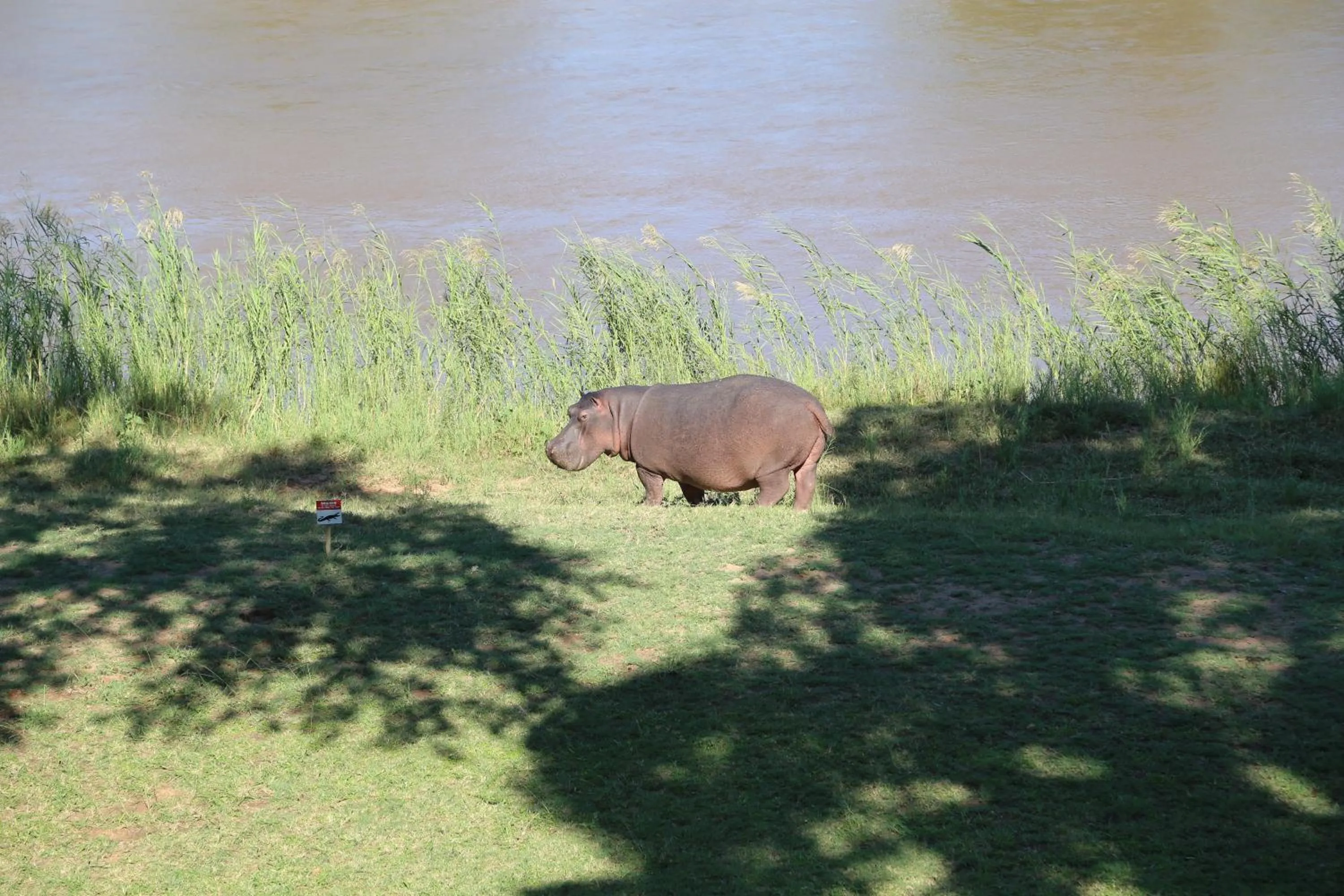 Activities in Maninghi Lodge