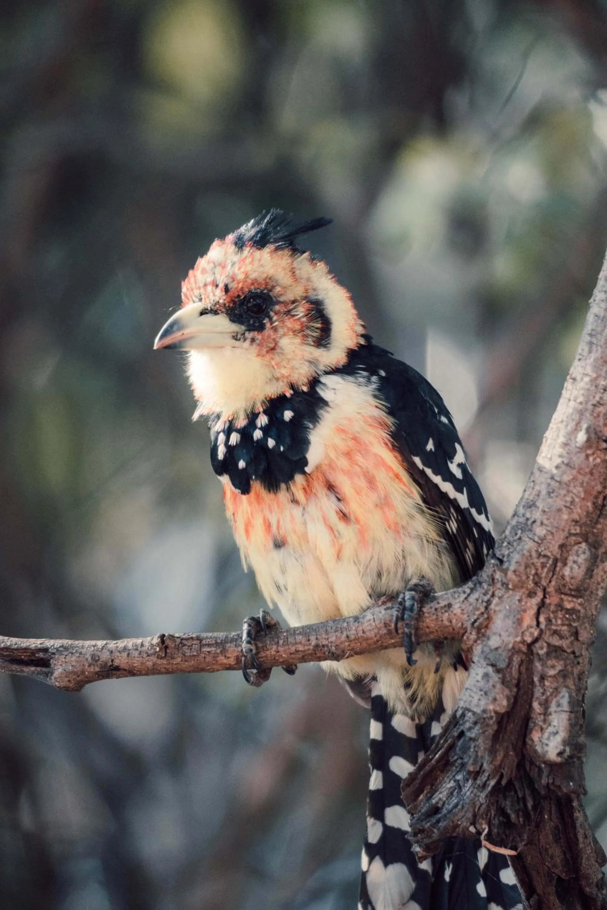 View (from property/room) in Maninghi Lodge