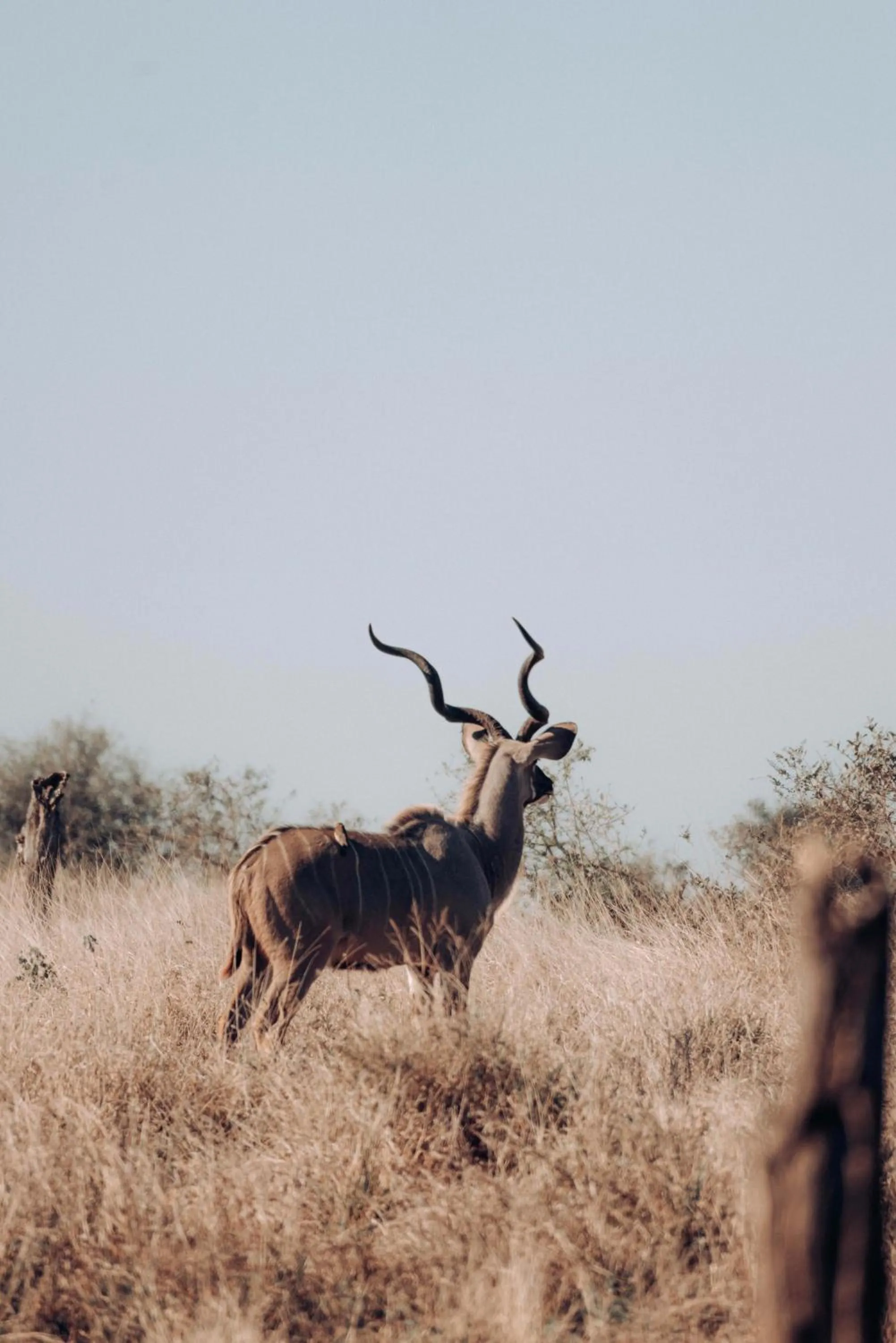 View (from property/room) in Maninghi Lodge