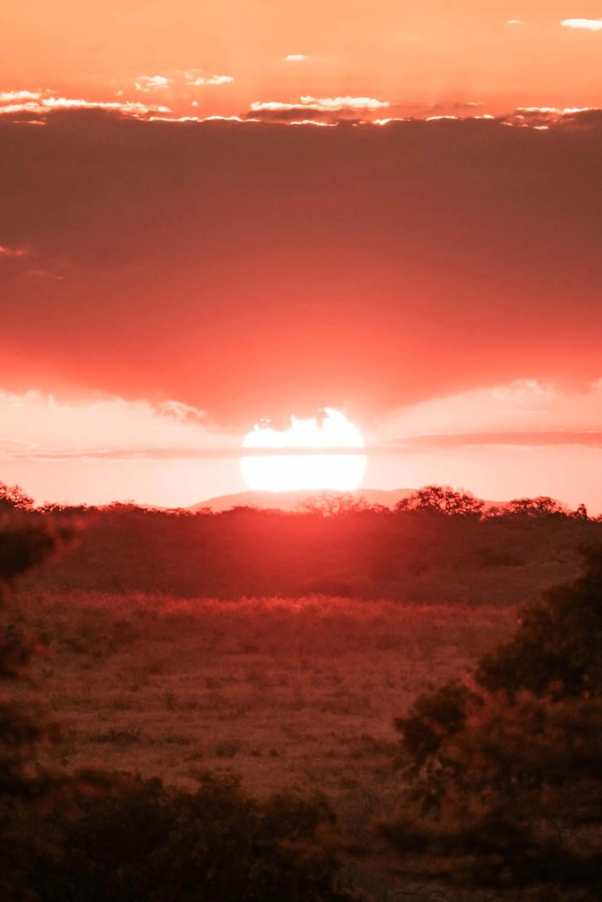 View (from property/room) in Maninghi Lodge