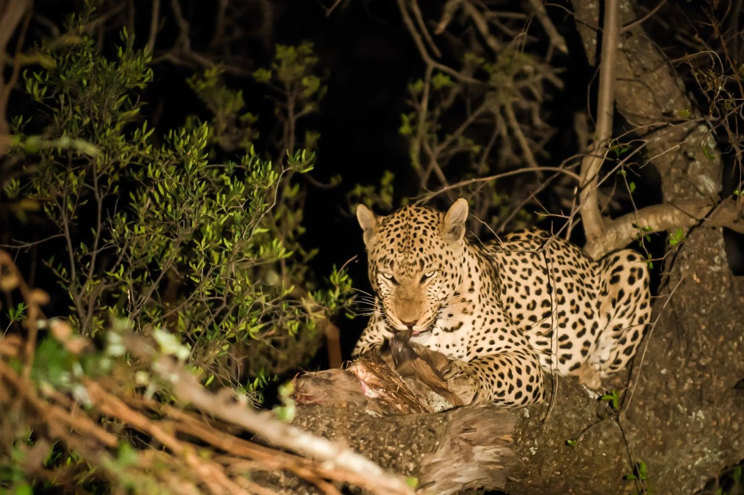 Off site in Maninghi Lodge