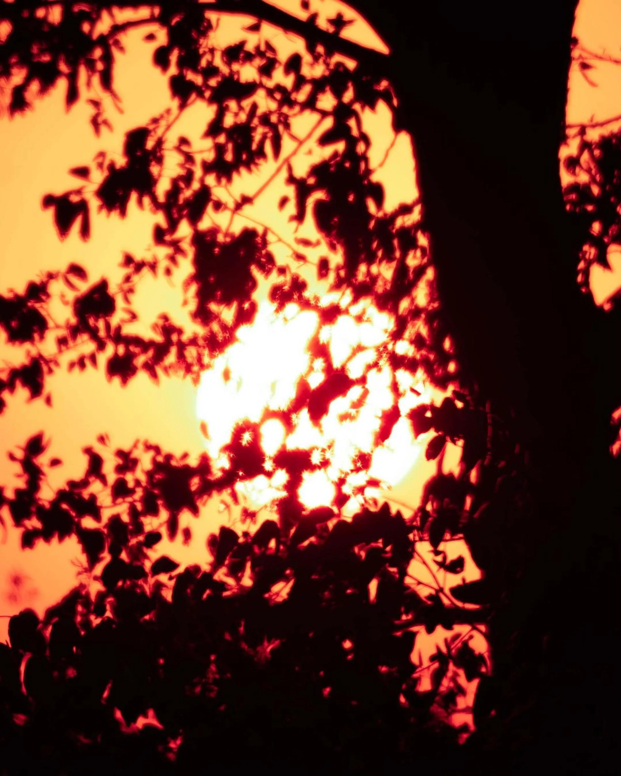 View (from property/room) in Maninghi Lodge