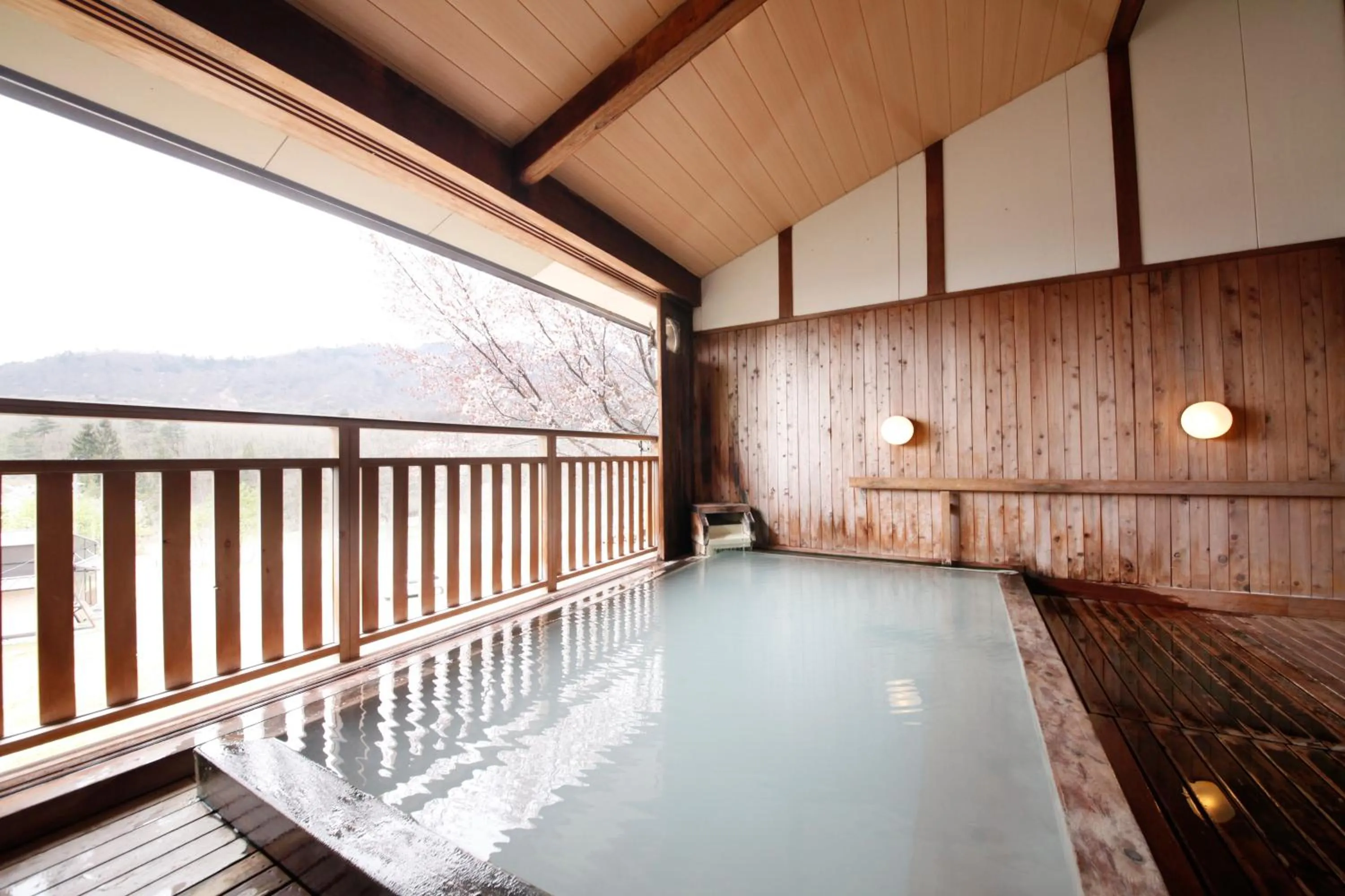 Hot Spring Bath in Matsukaneya Annex