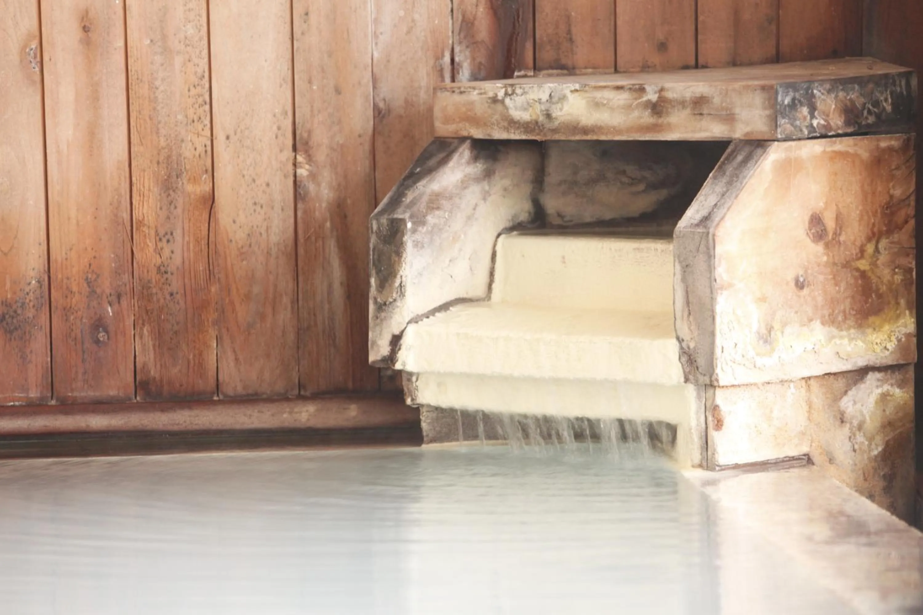 Spa and wellness centre/facilities in Matsukaneya Annex