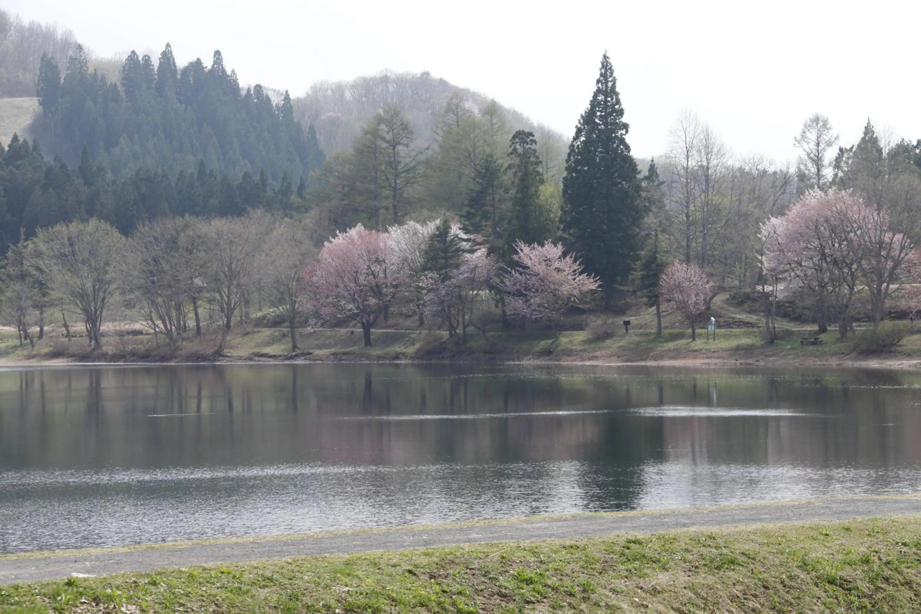 Spring in Matsukaneya Annex