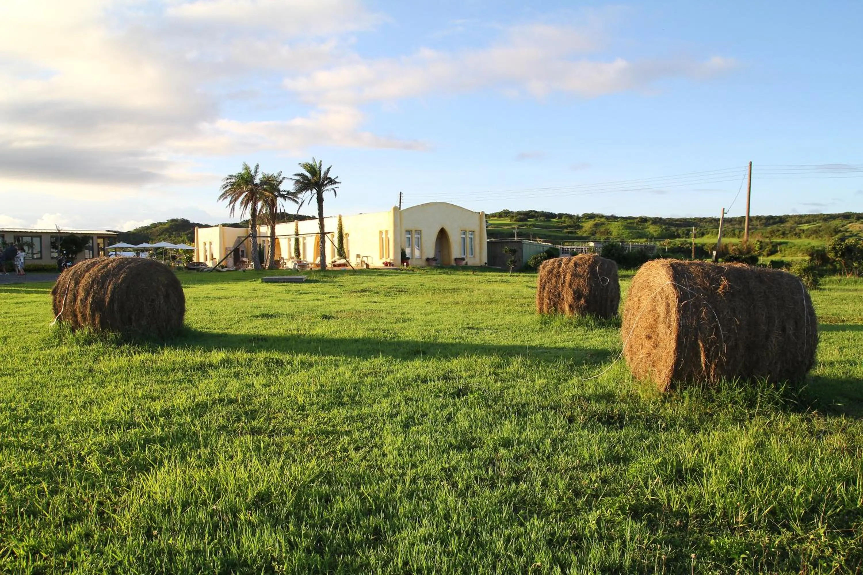 Garden in West Old House