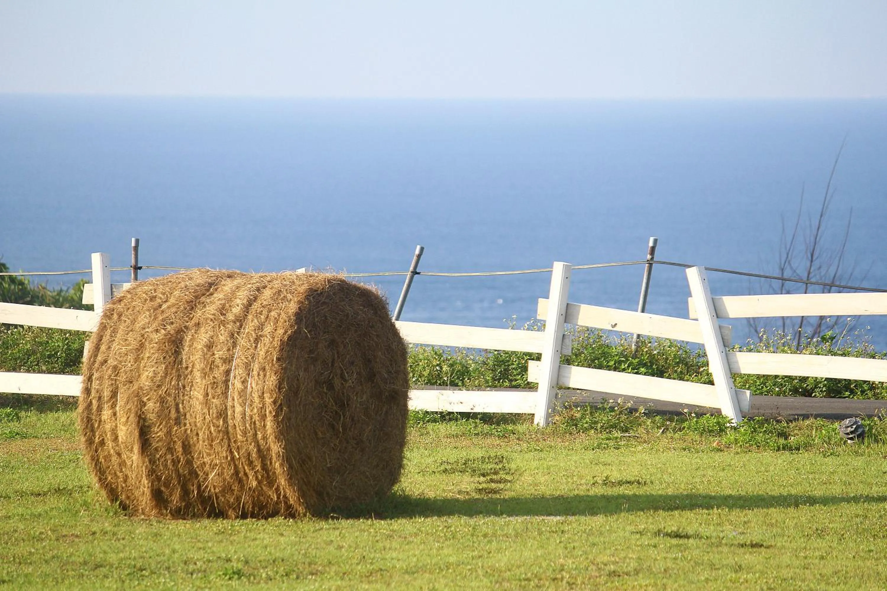 Sea view in West Old House