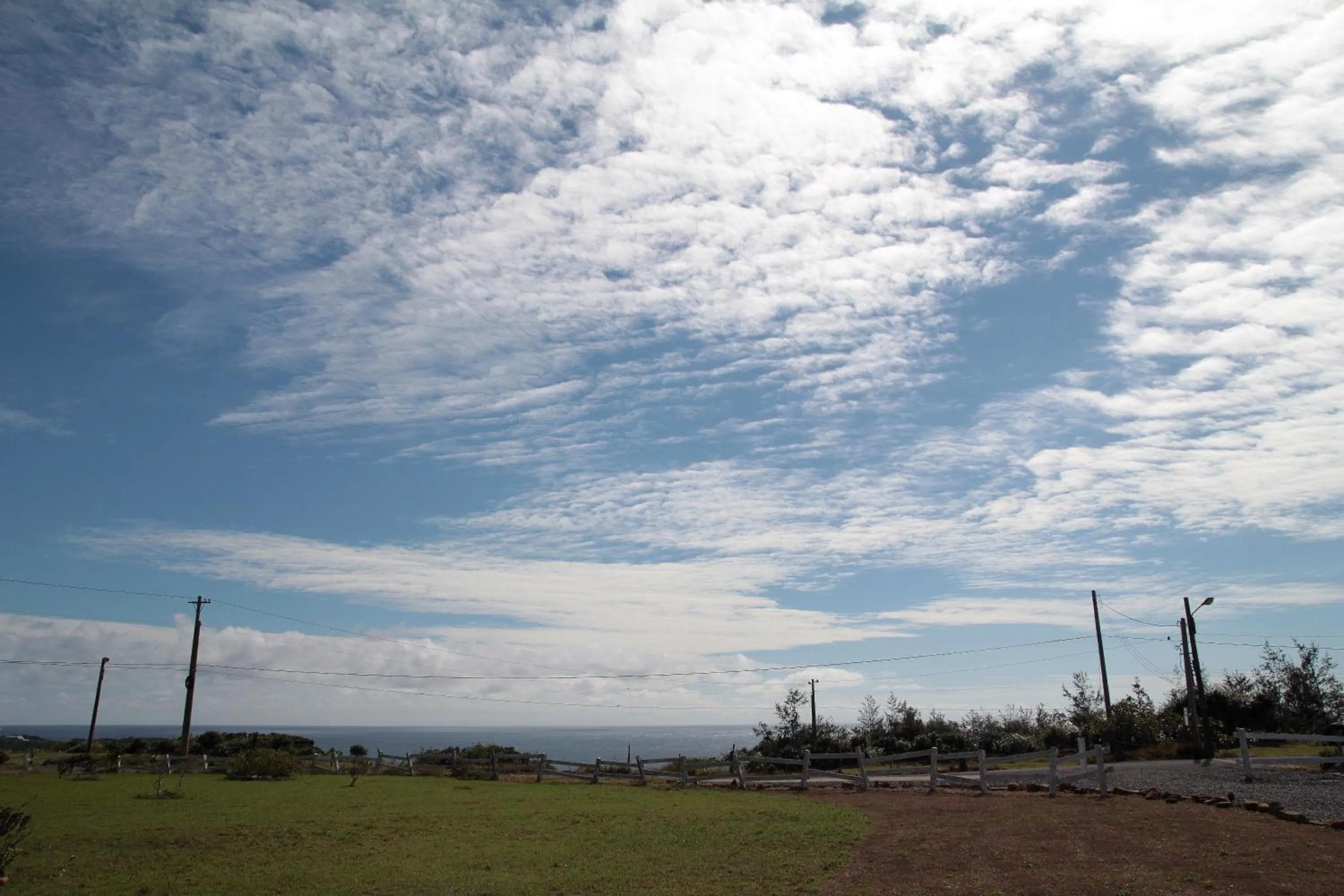 View (from property/room) in West Old House