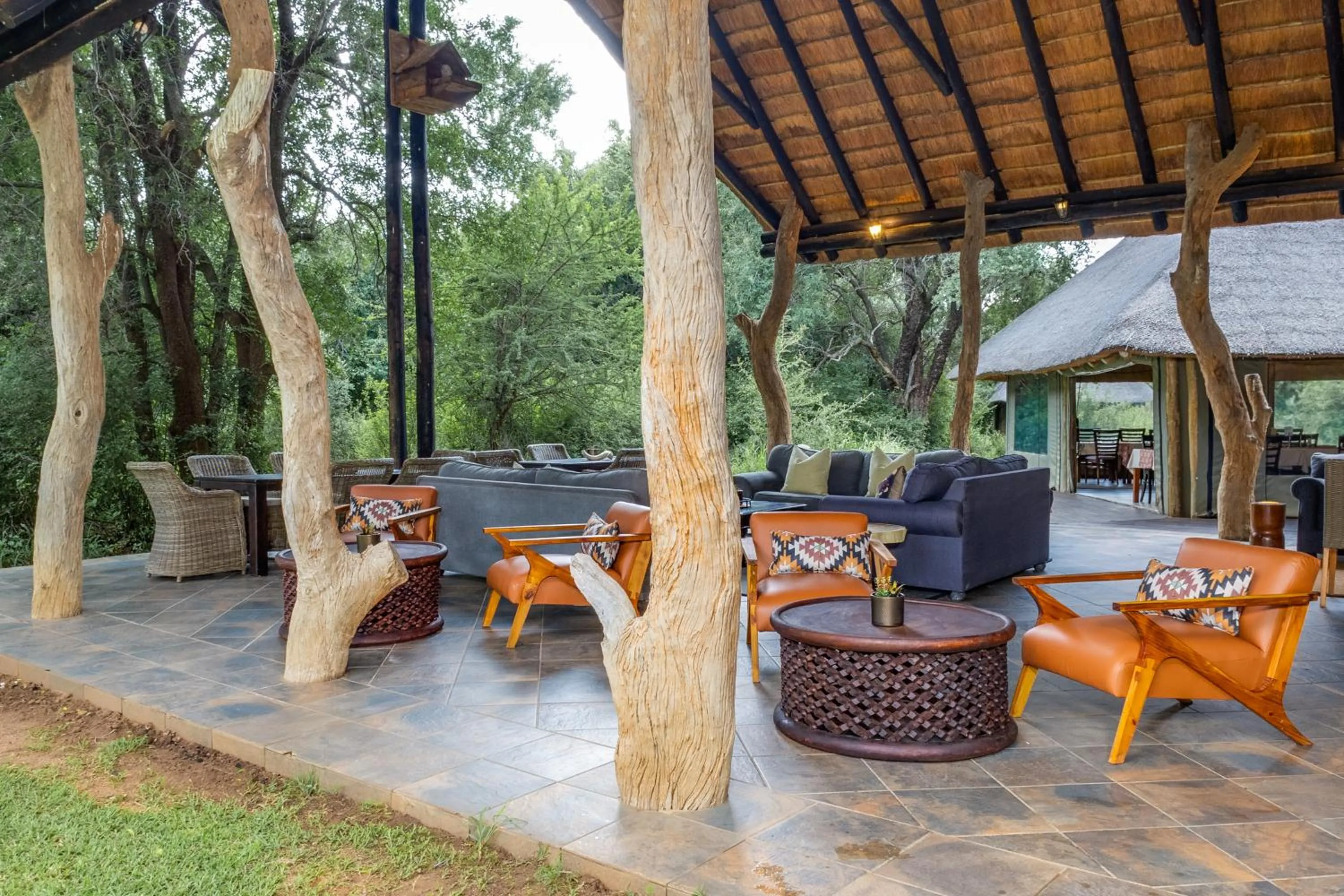 Lounge or bar in Black Rhino Game Lodge