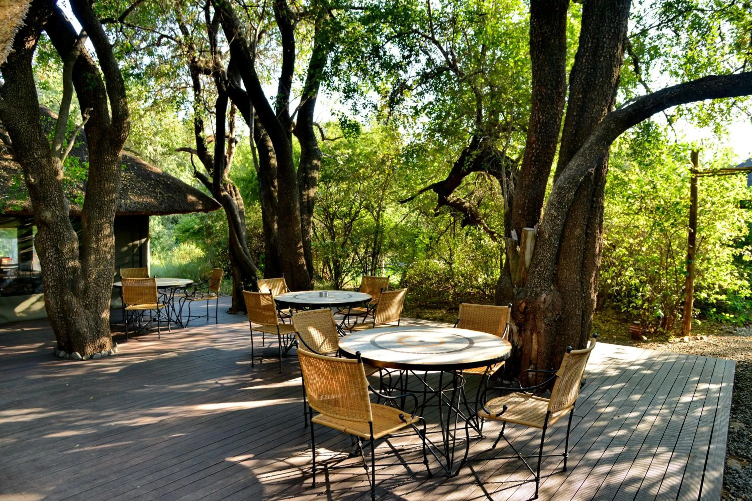 Dining area in Black Rhino Game Lodge