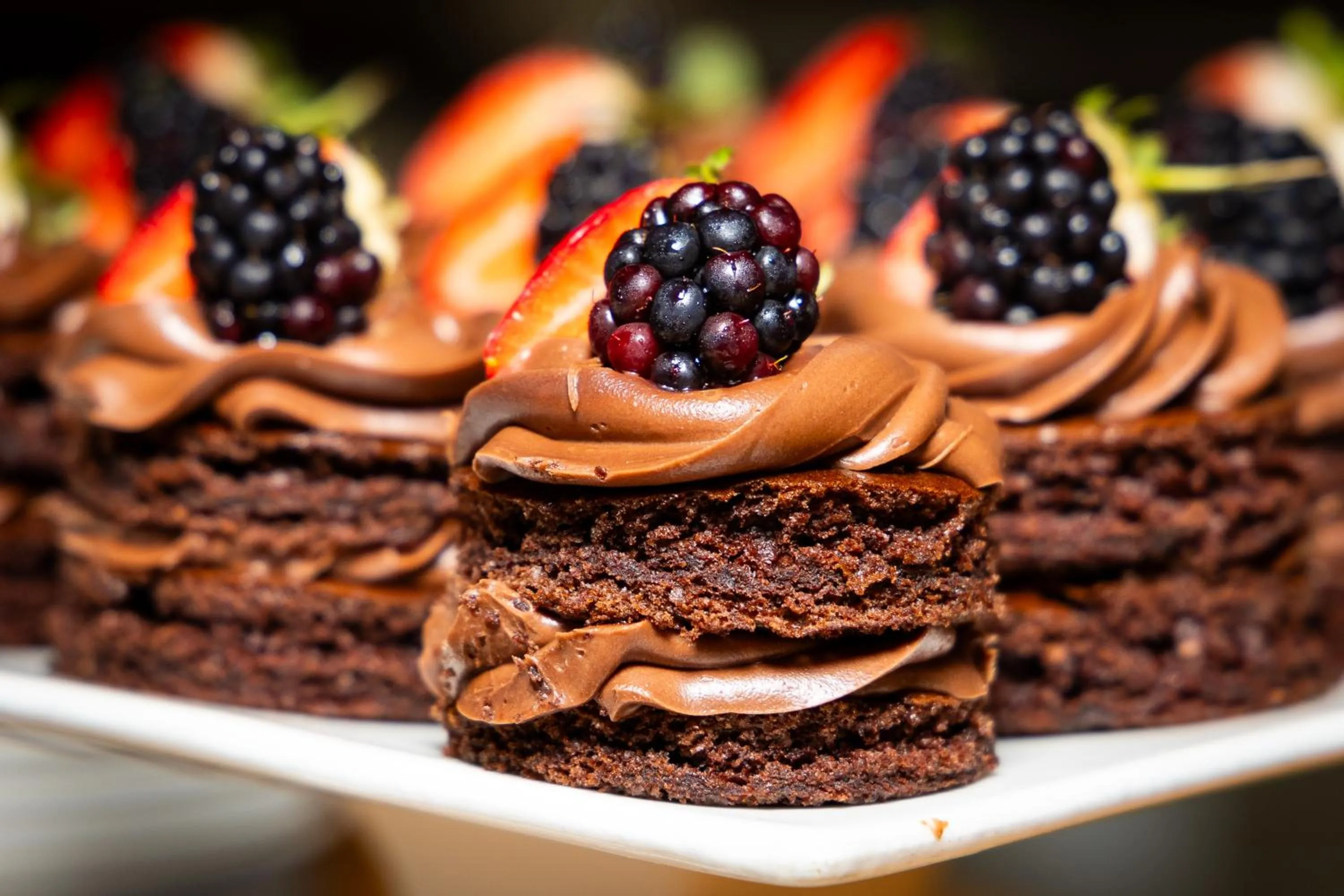 Food in Black Rhino Game Lodge