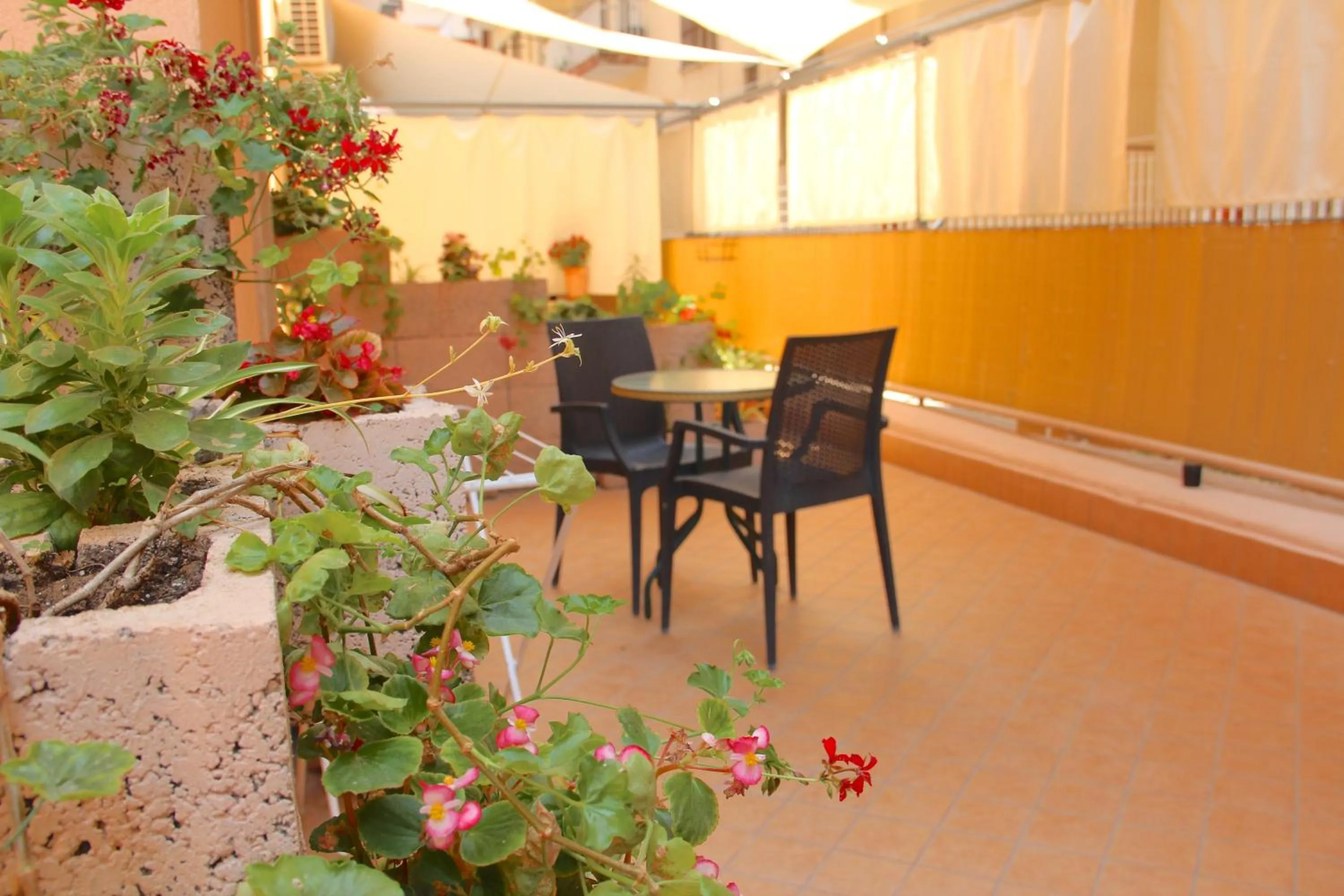 Balcony/Terrace in Be Inn