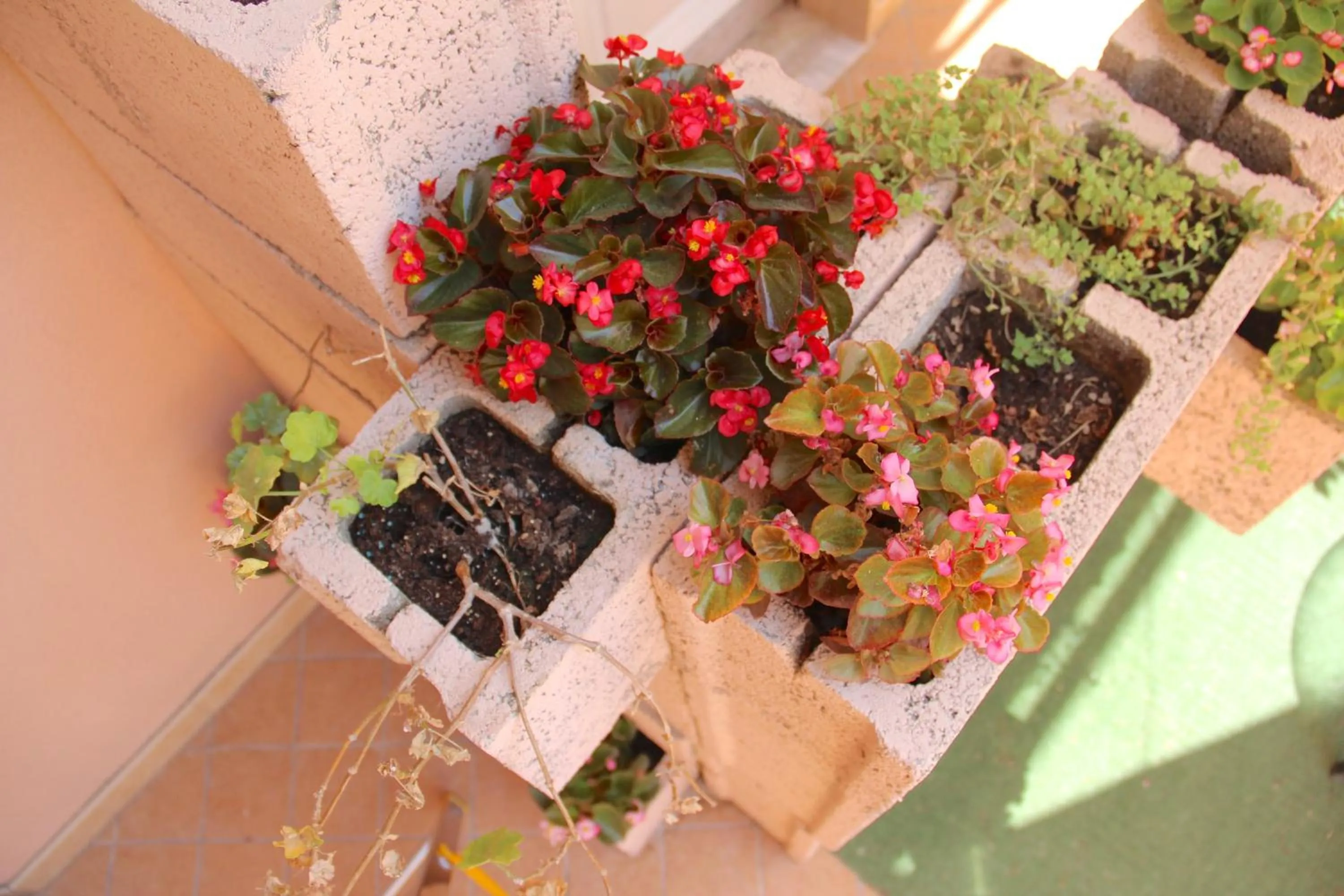 Balcony/Terrace in Be Inn