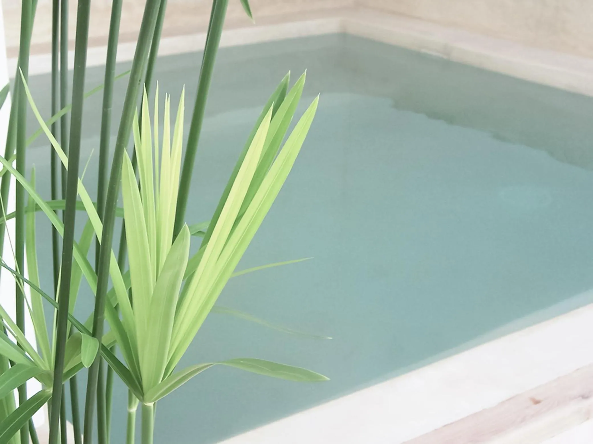 Swimming pool in Riad Dar-K