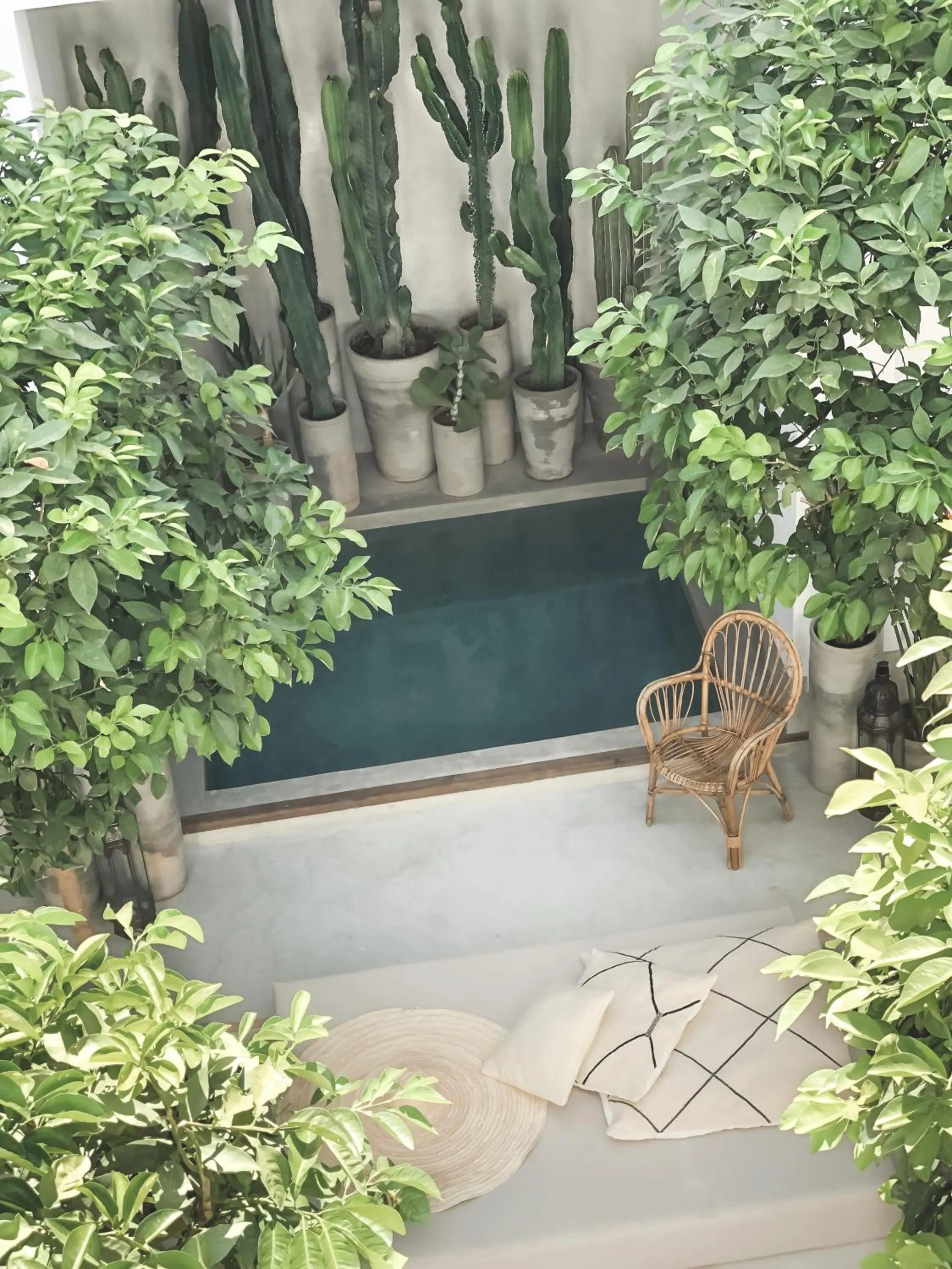 Garden in Riad Dar-K